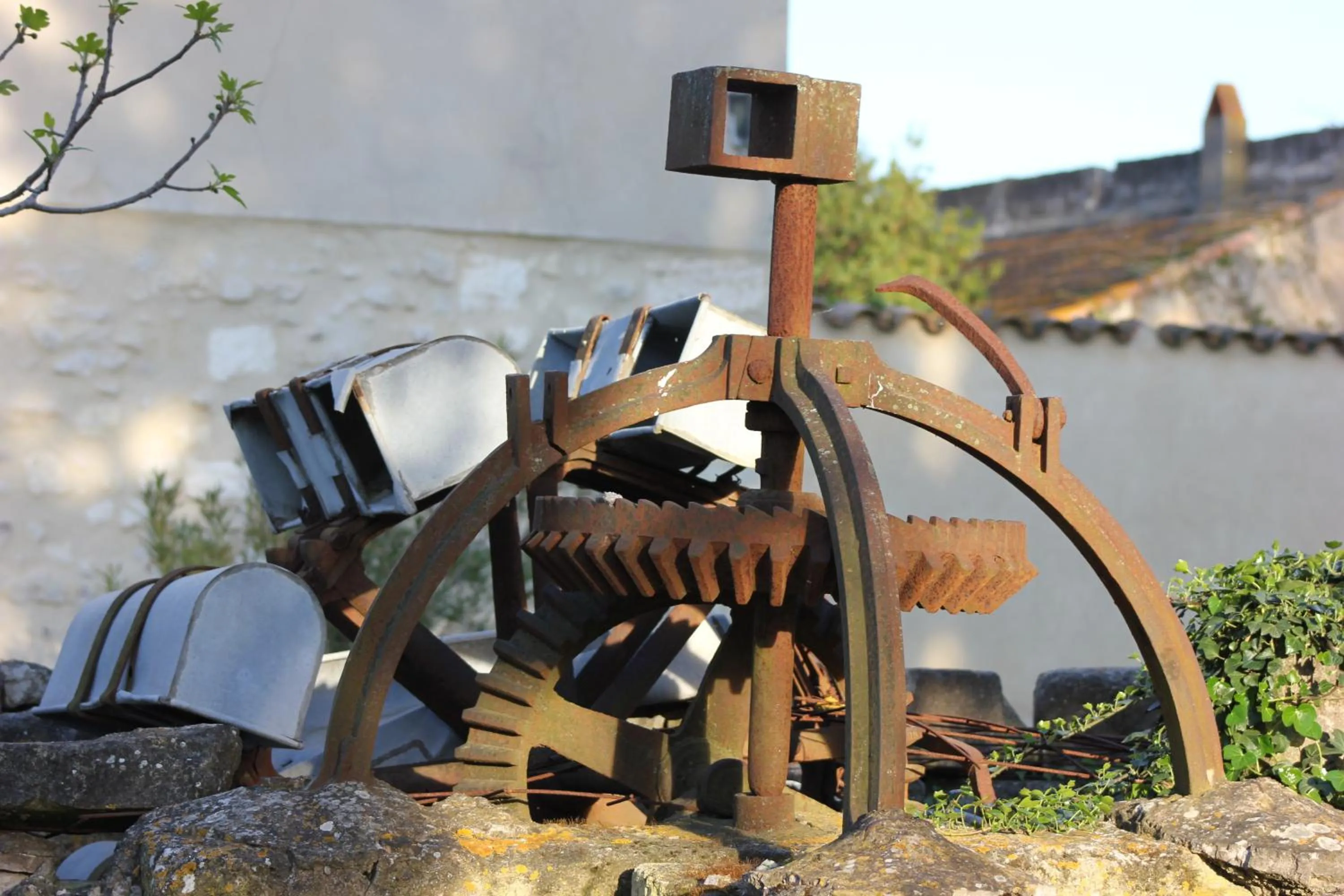 Garden in Mas Petit Prince