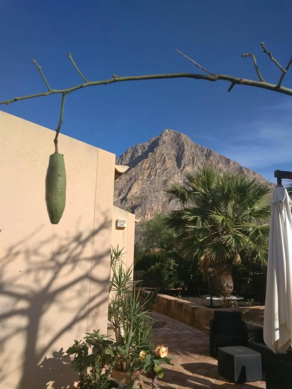 Natural landscape in Baia Cofano Home