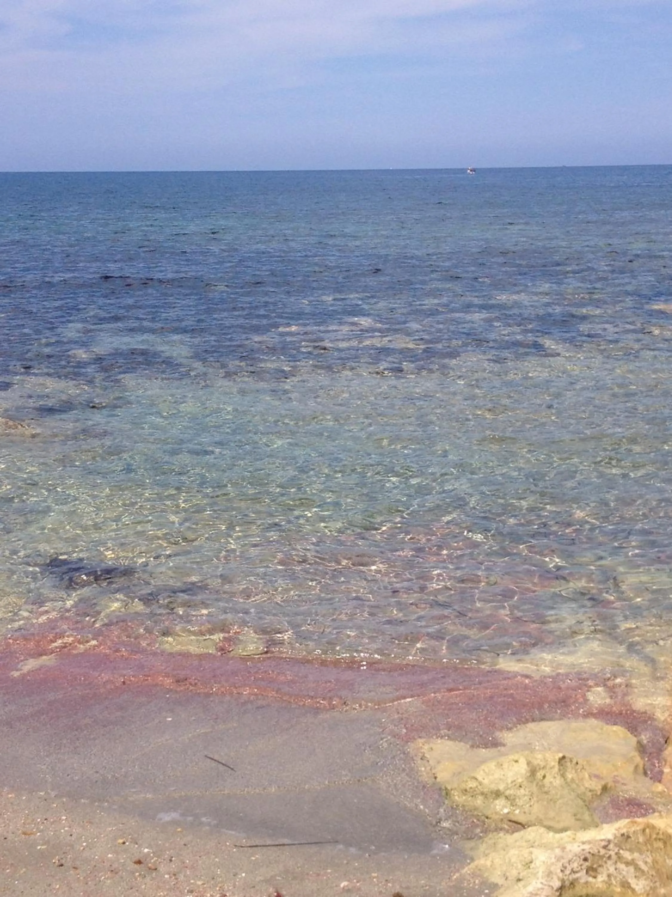 Beach in Baia Cofano Home