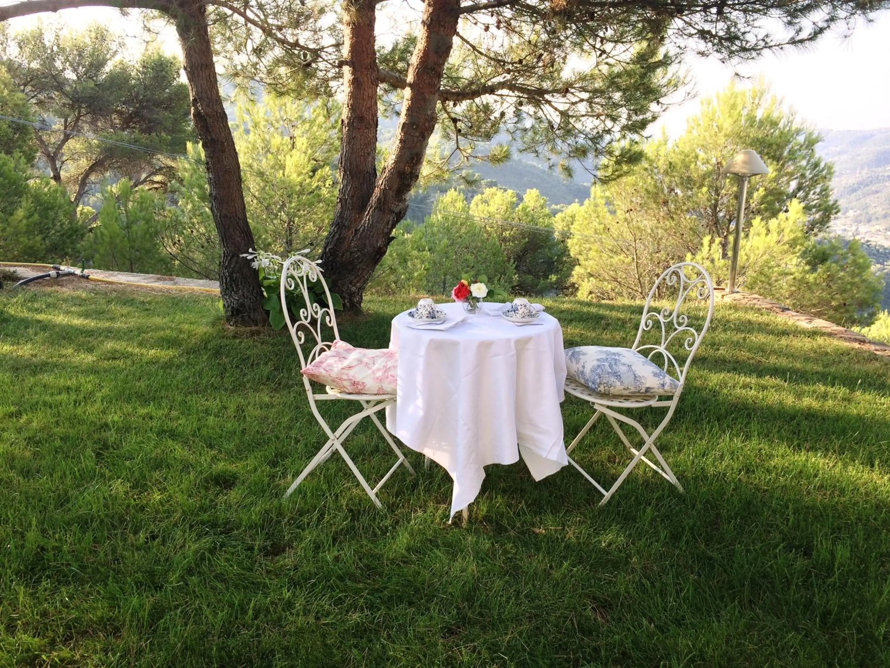 Garden view in B&B Normanna