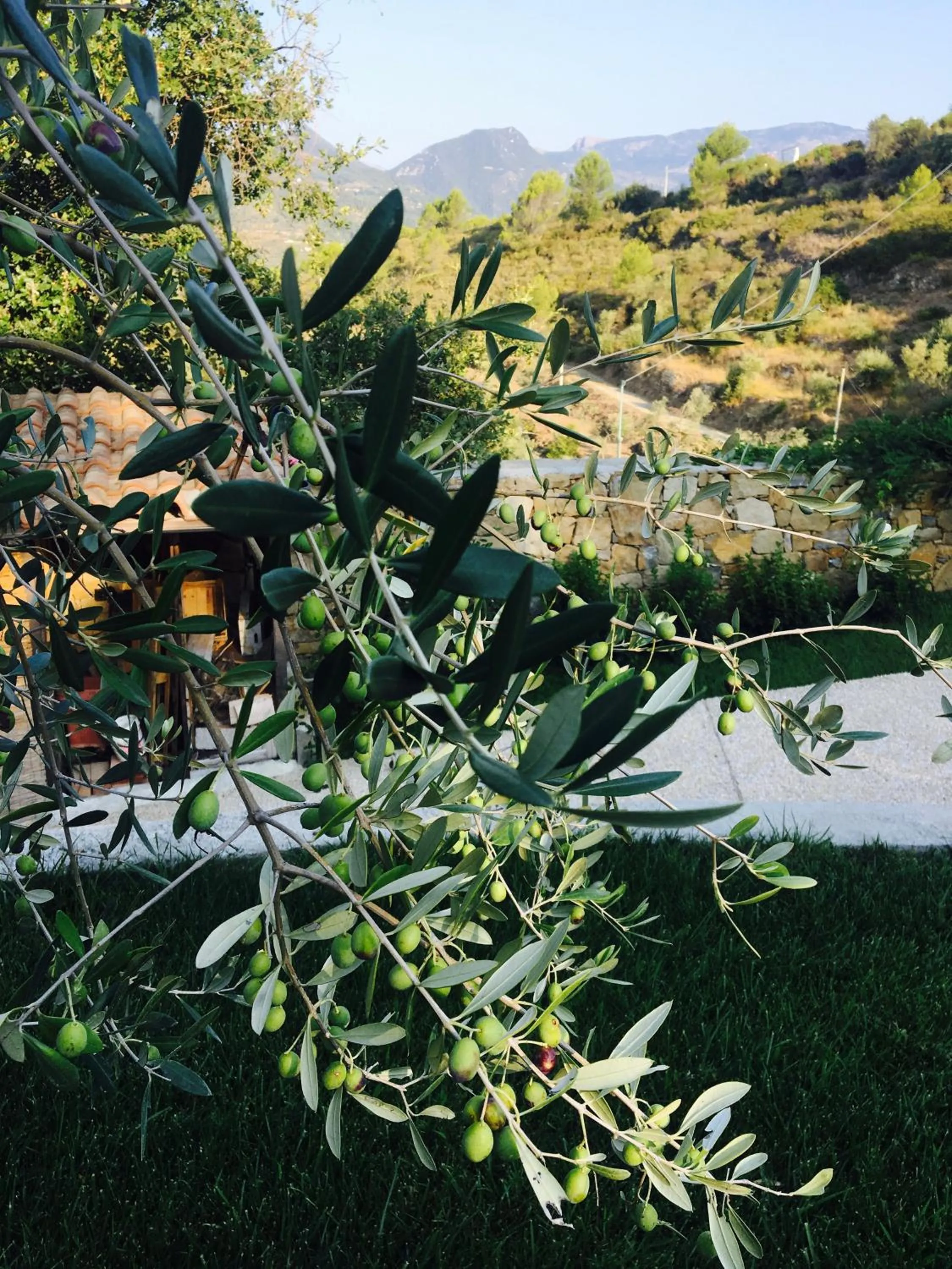 Decorative detail in B&B Normanna