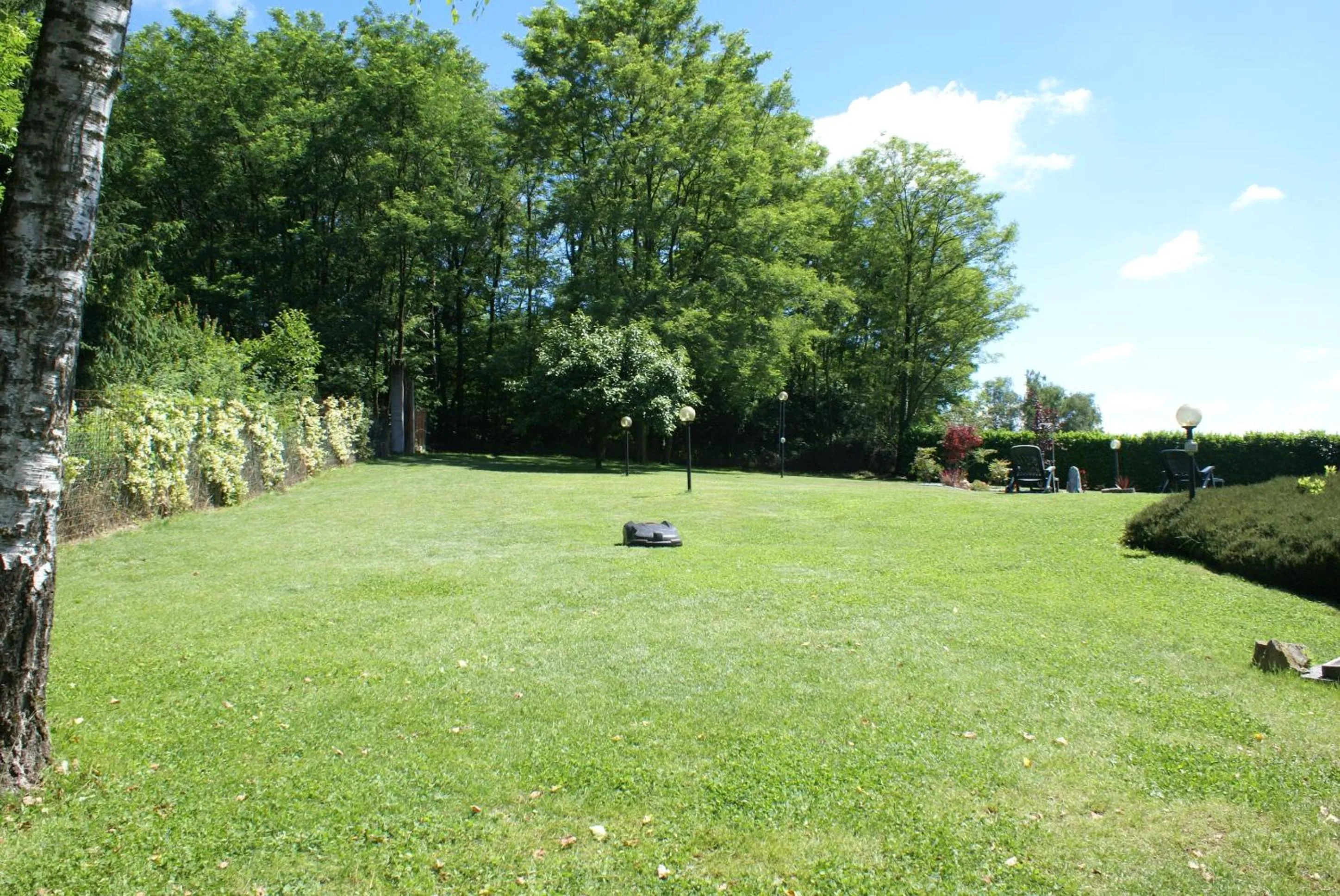 Garden in Villa Rosalia