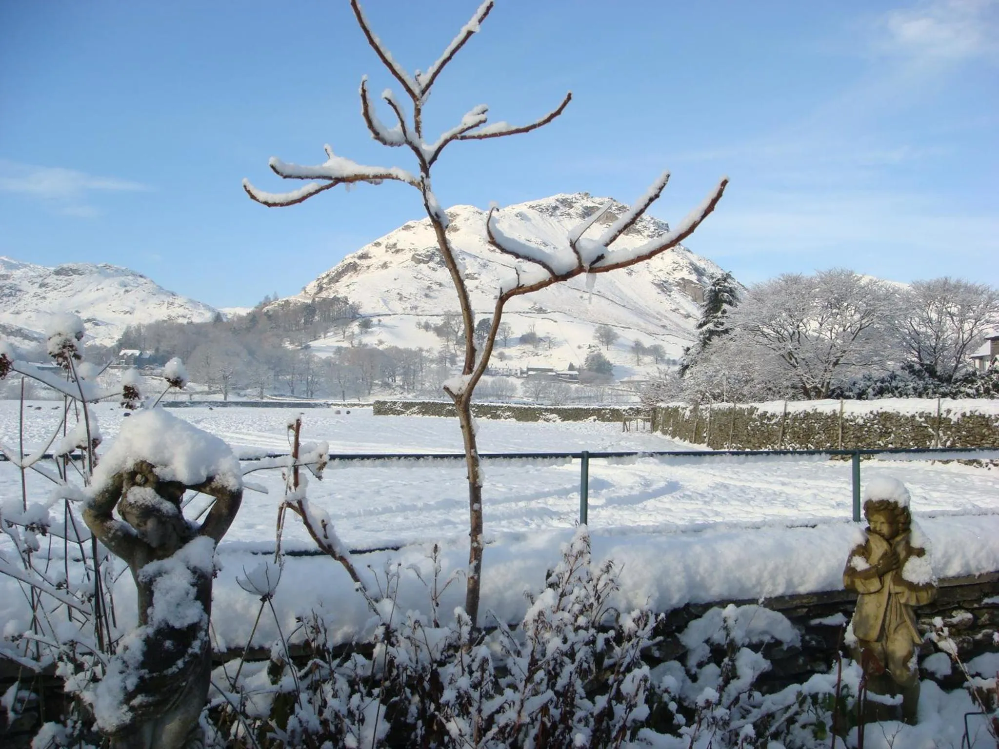 Natural landscape in Raise View House