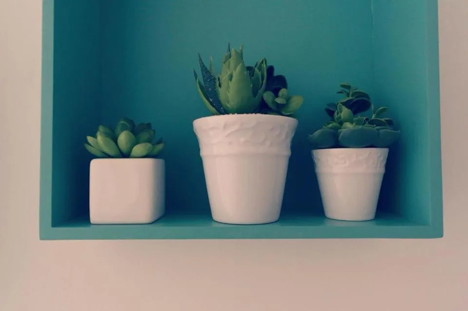Balcony/Terrace in B&B La Peonia