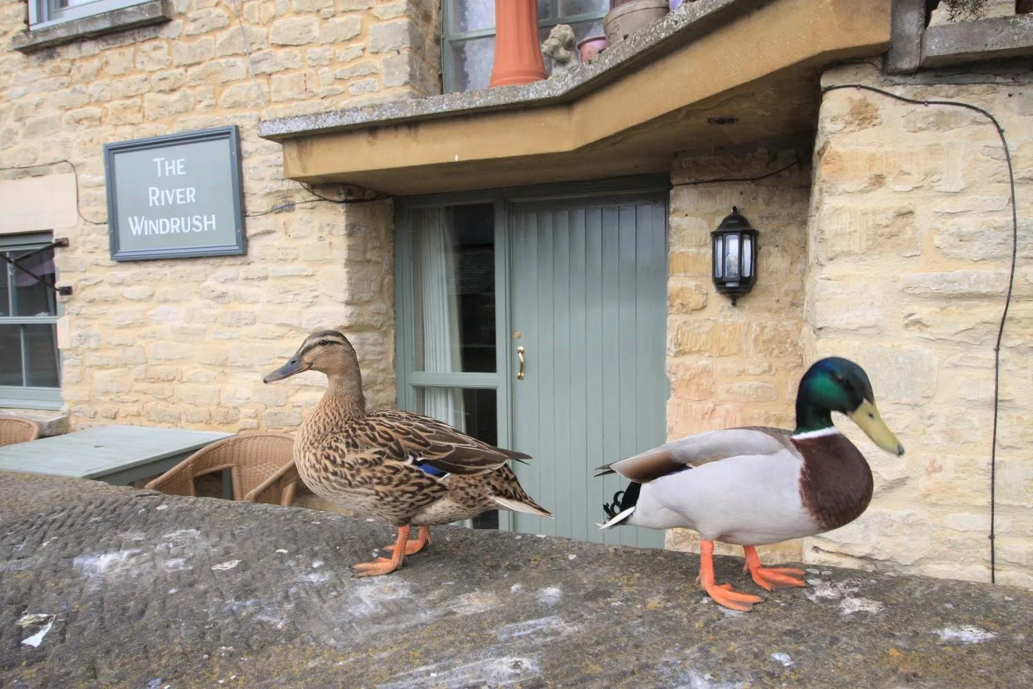 Property building in The Riverside