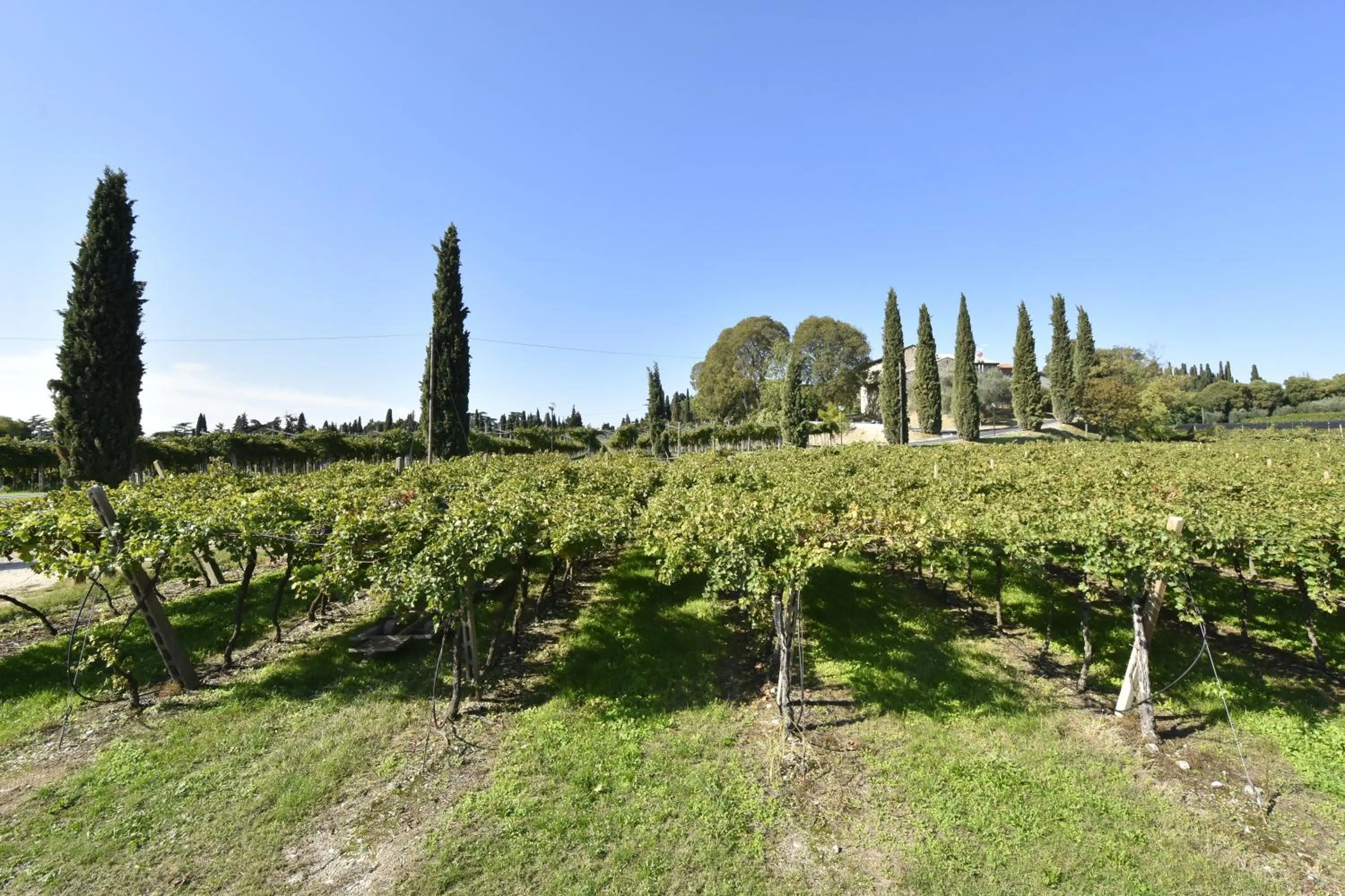 Natural landscape in Le Palazzole