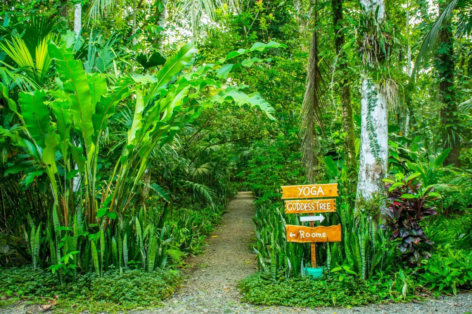 Hiking in The Goddess Garden Eco-Resort