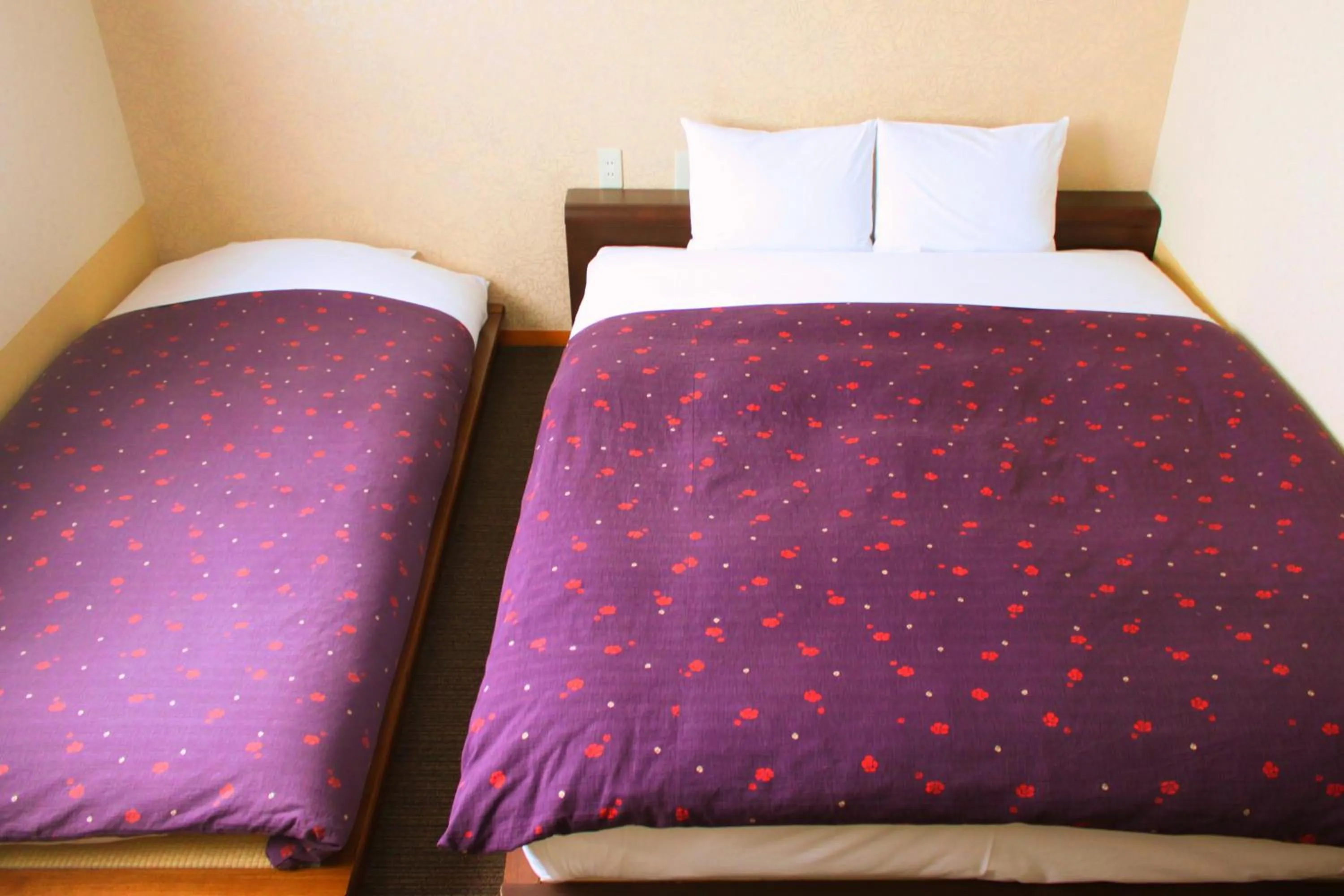 Photo of the whole room, Bed in K's House Takayama Oasis [2nd K's Hostel]