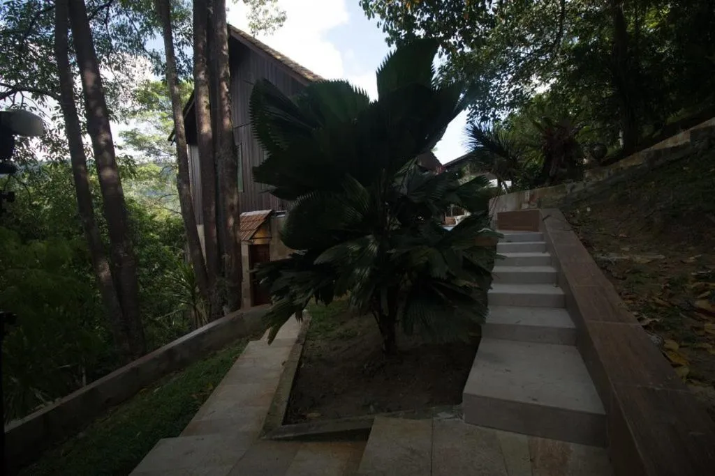 Natural landscape in De Serenity - Exclusive Jungle Retreat