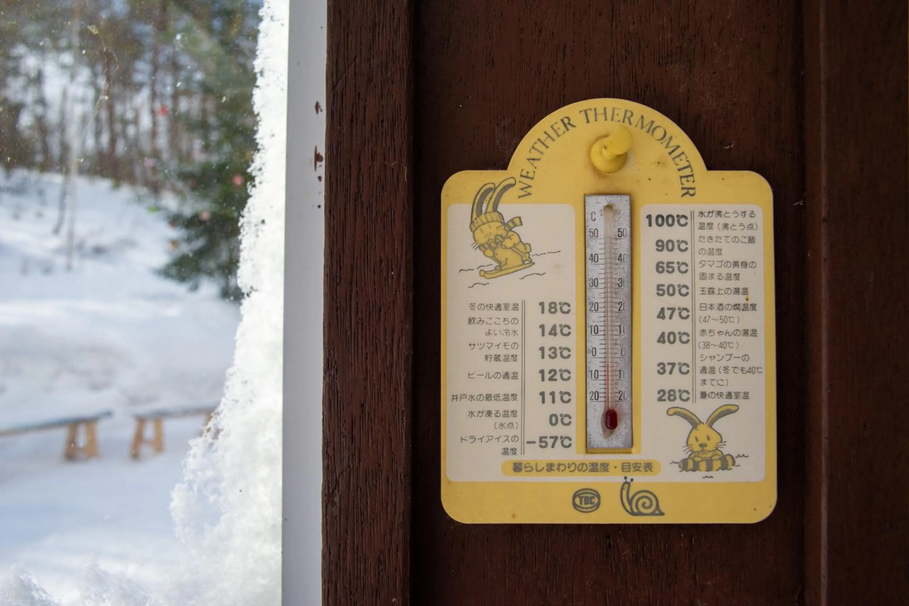 Winter in White Rose Inn