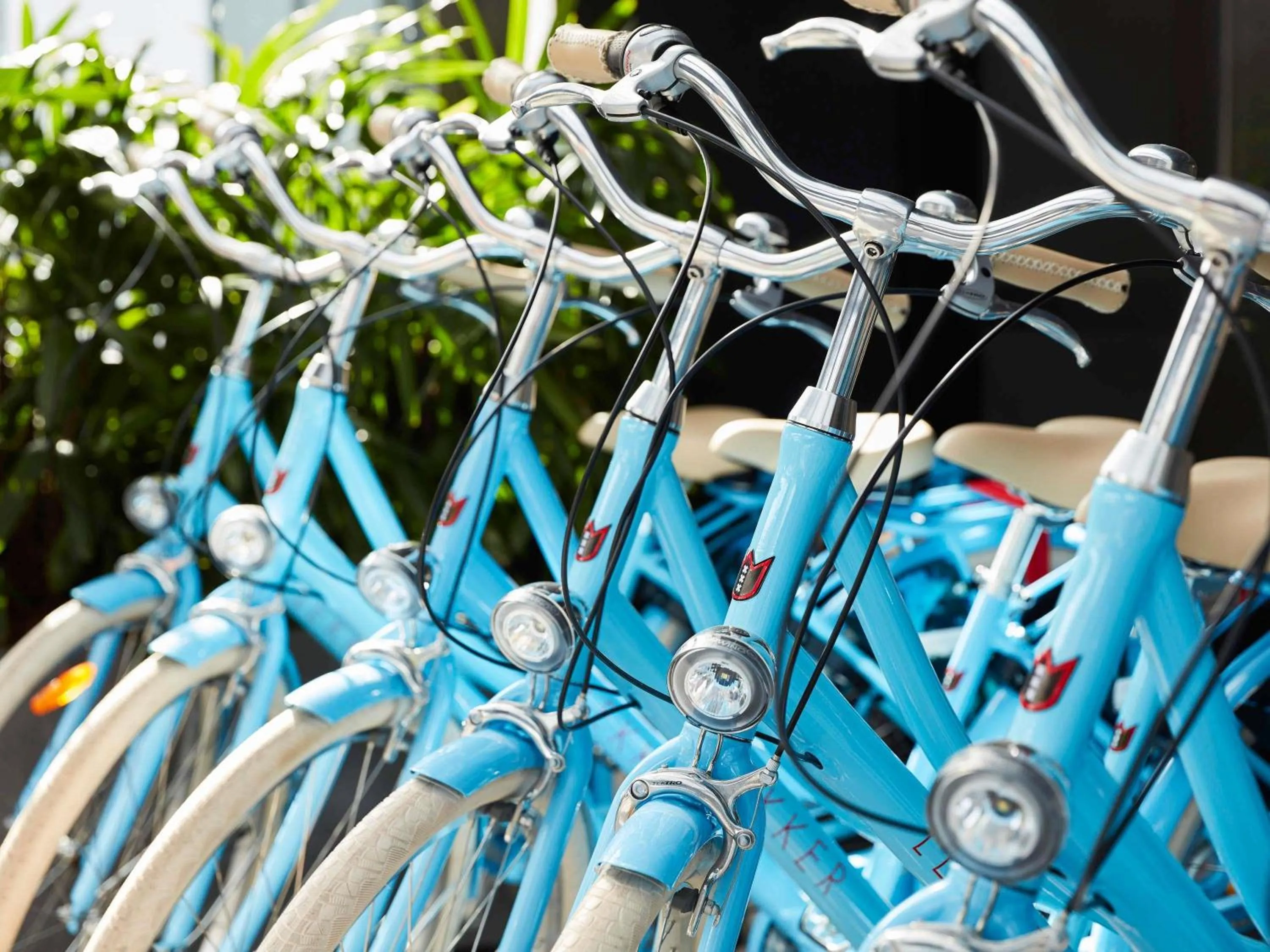 Other in The Johnson Brisbane - Art Series