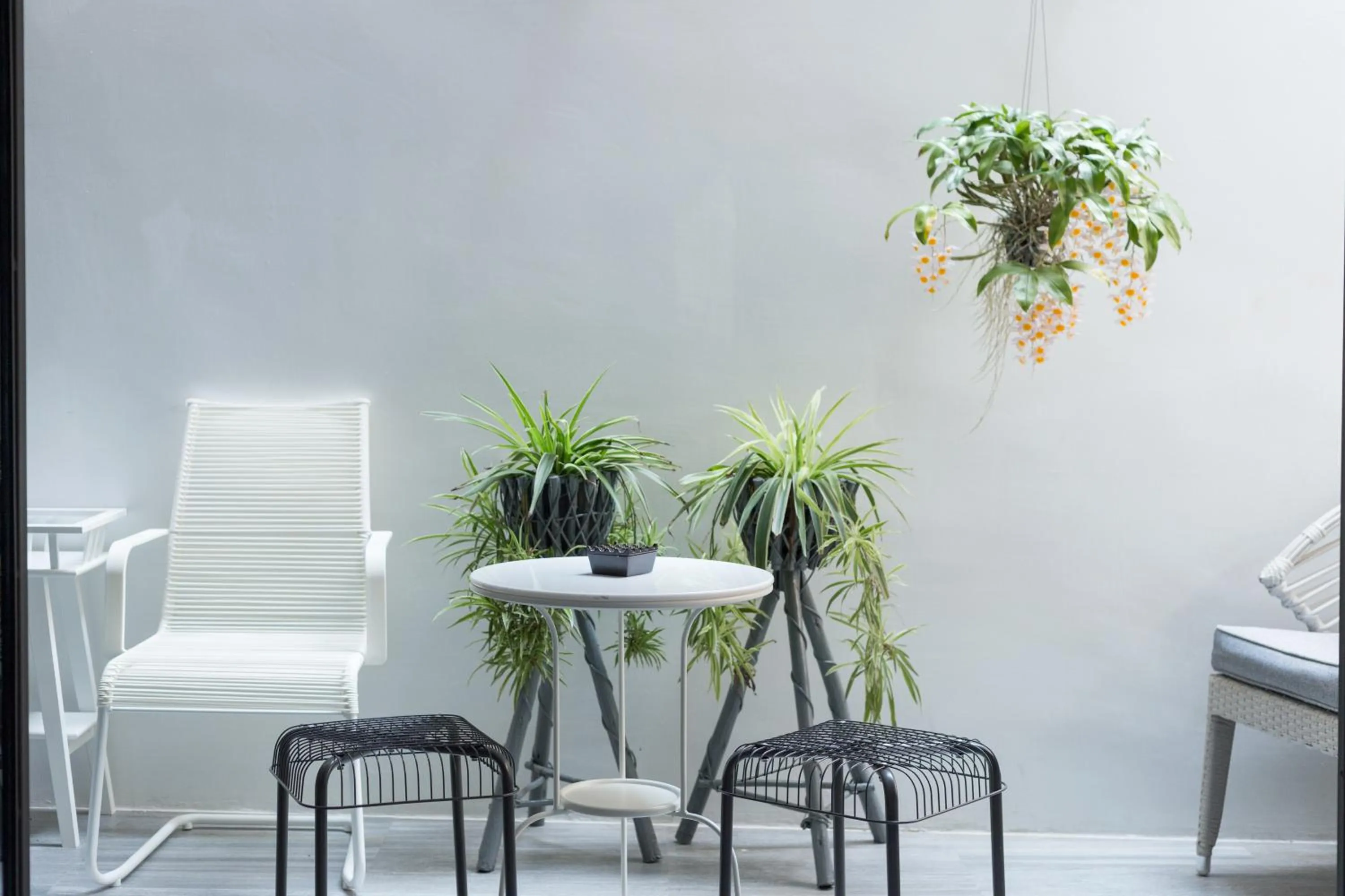 Decorative detail in White Ivory Bed And Breakfast