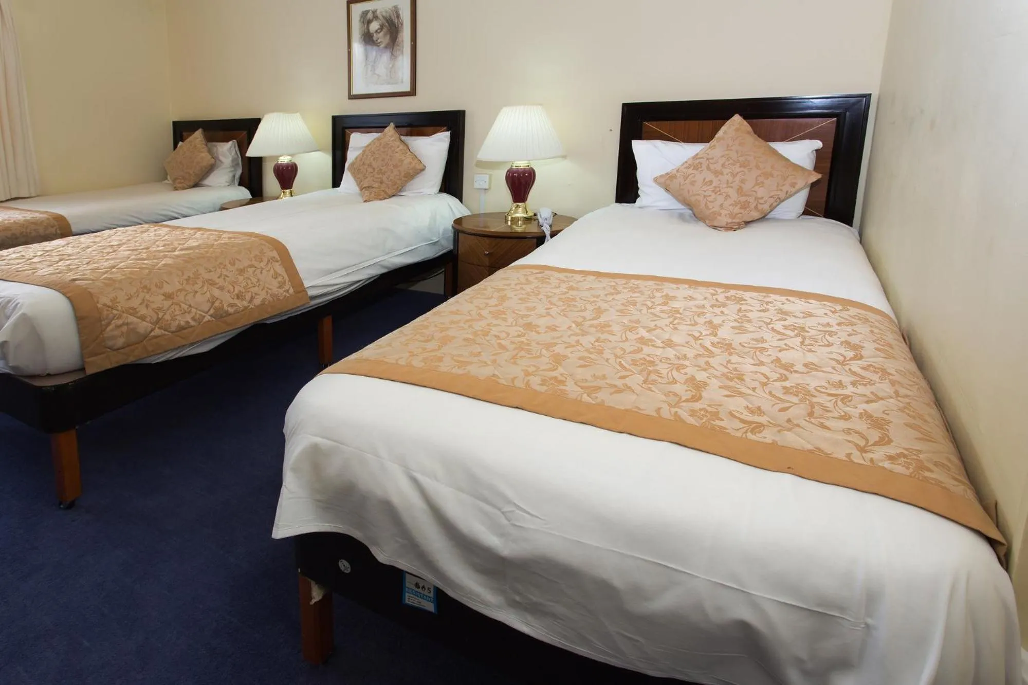 Bed in Britannia Country House Hotel & Spa