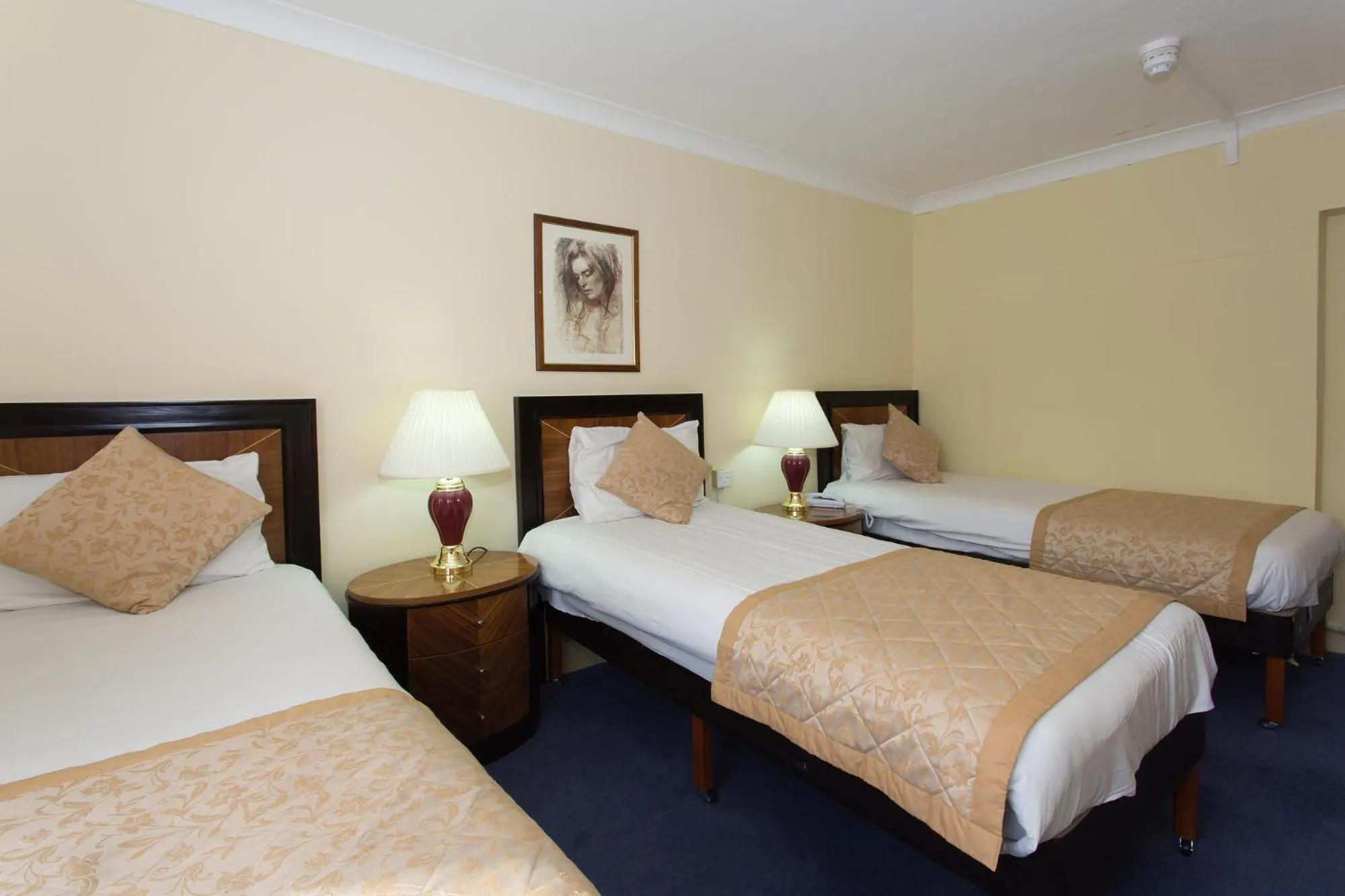 Bed in Britannia Country House Hotel & Spa