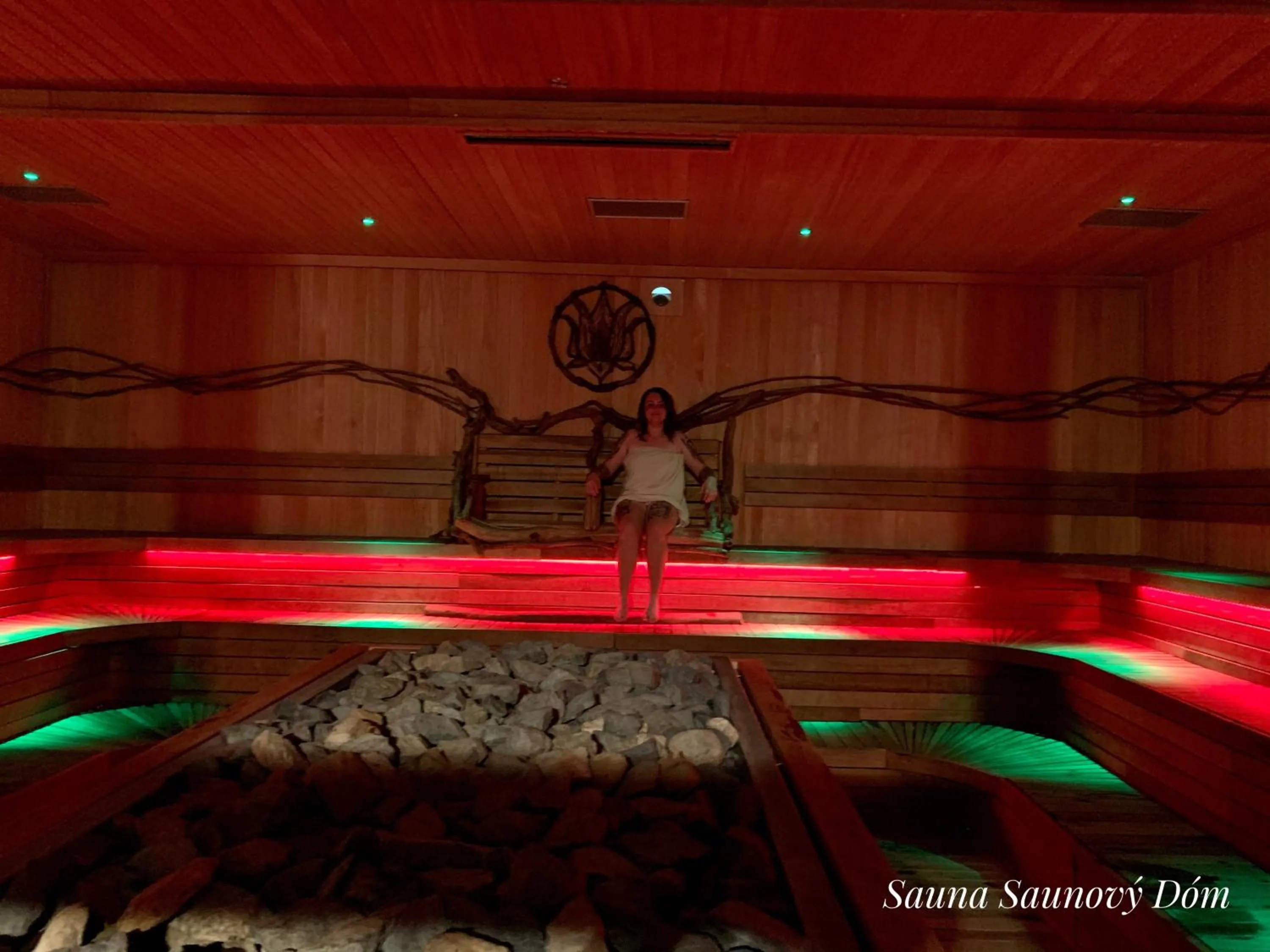 Sauna in Apartmán Bešeňová