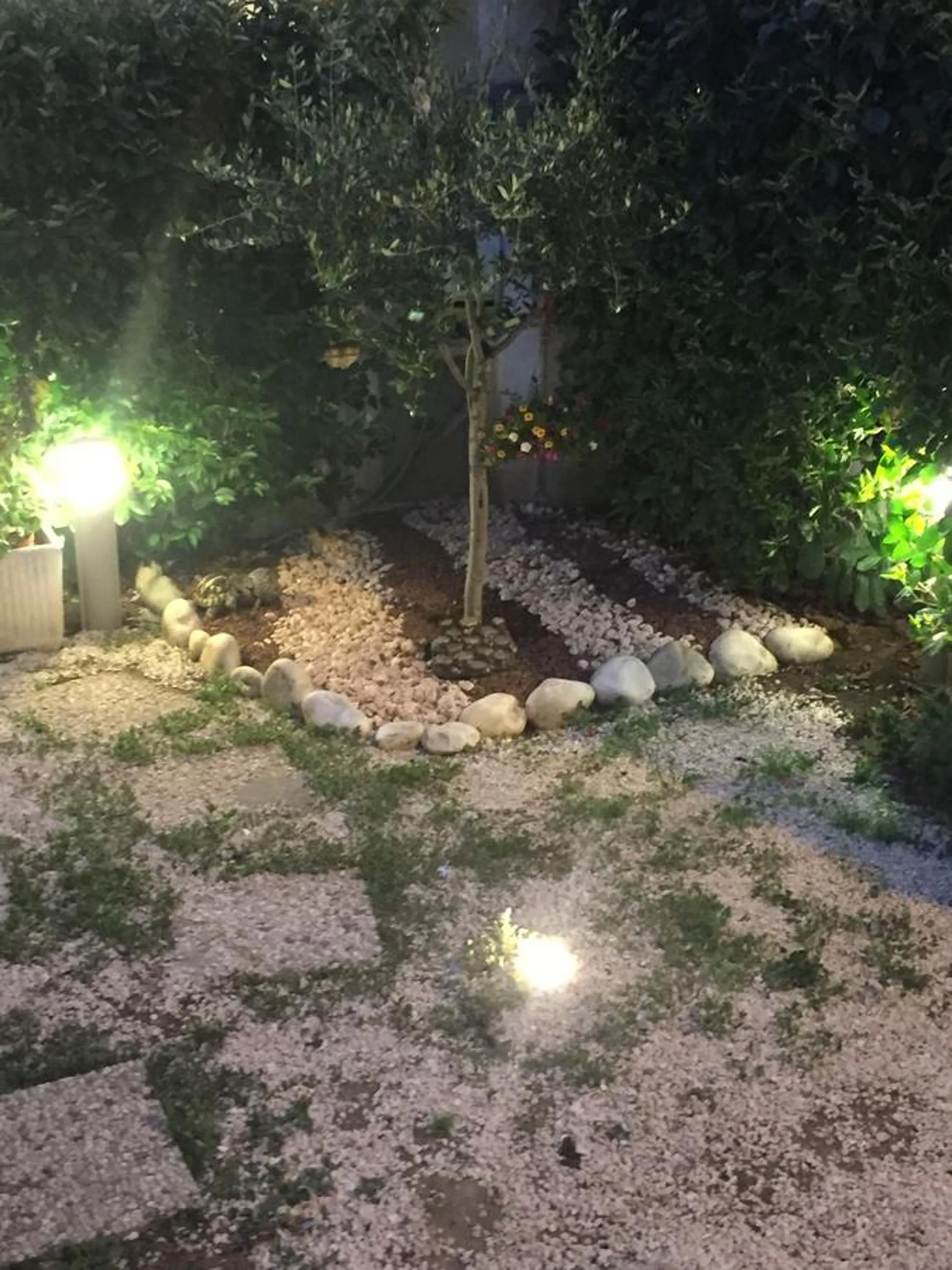 Garden in La Maison Blanche