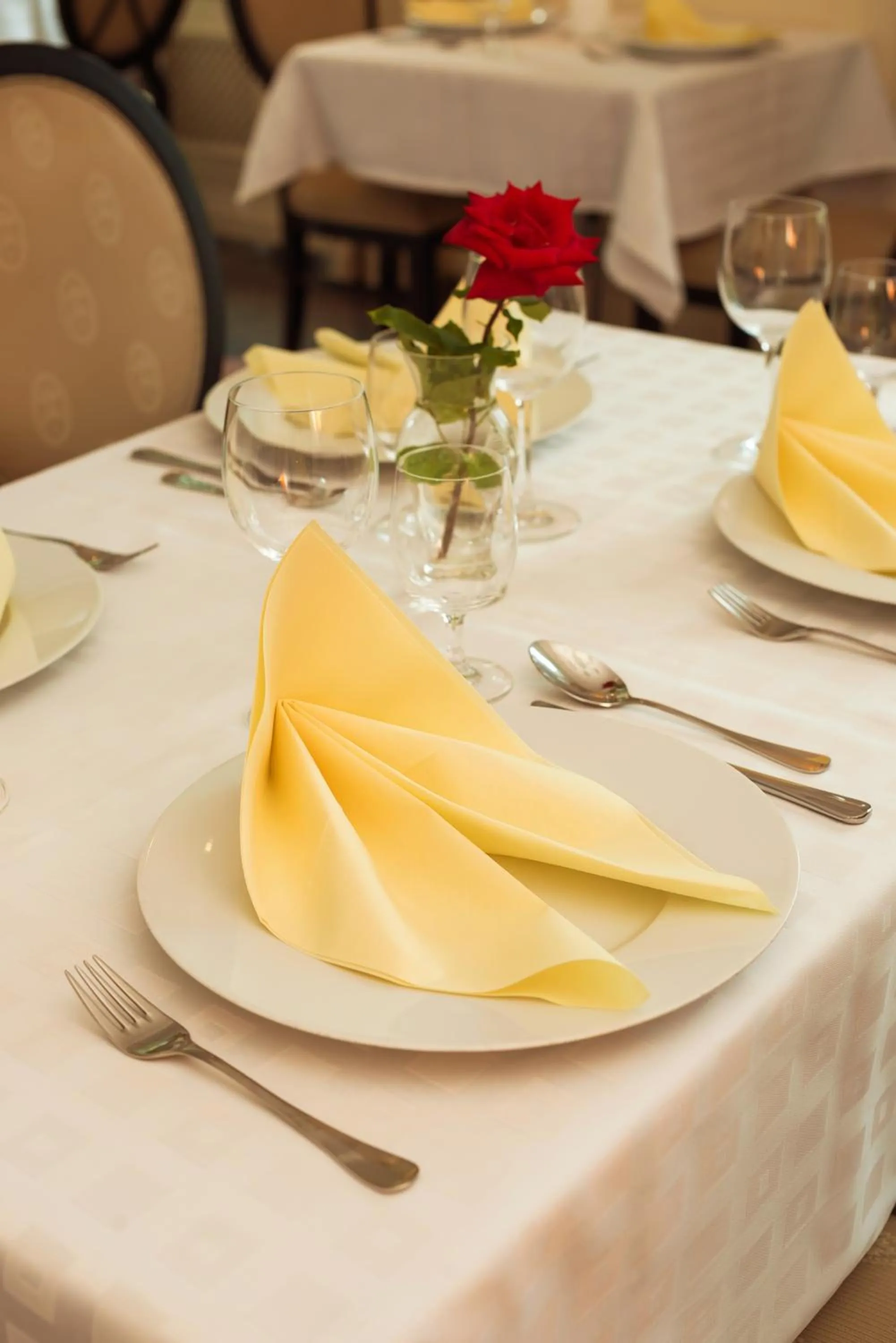 Restaurant/places to eat in Hotel Torysa