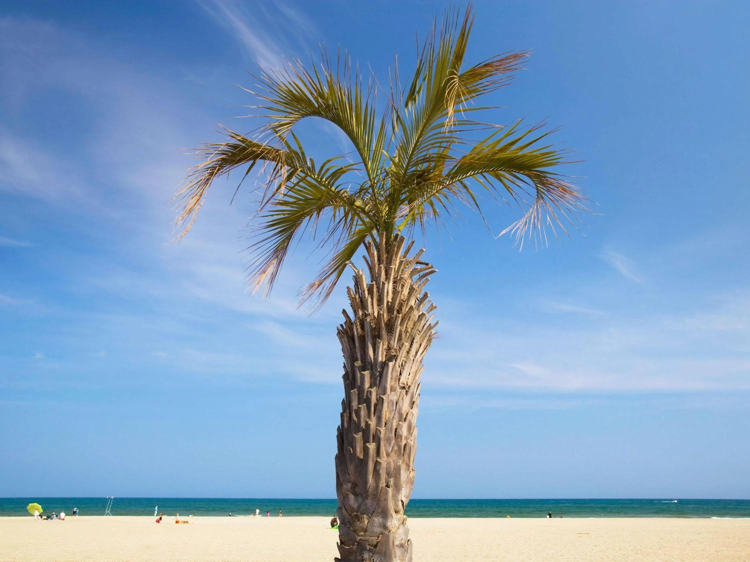 Other in HotelF1 Perpignan Sud