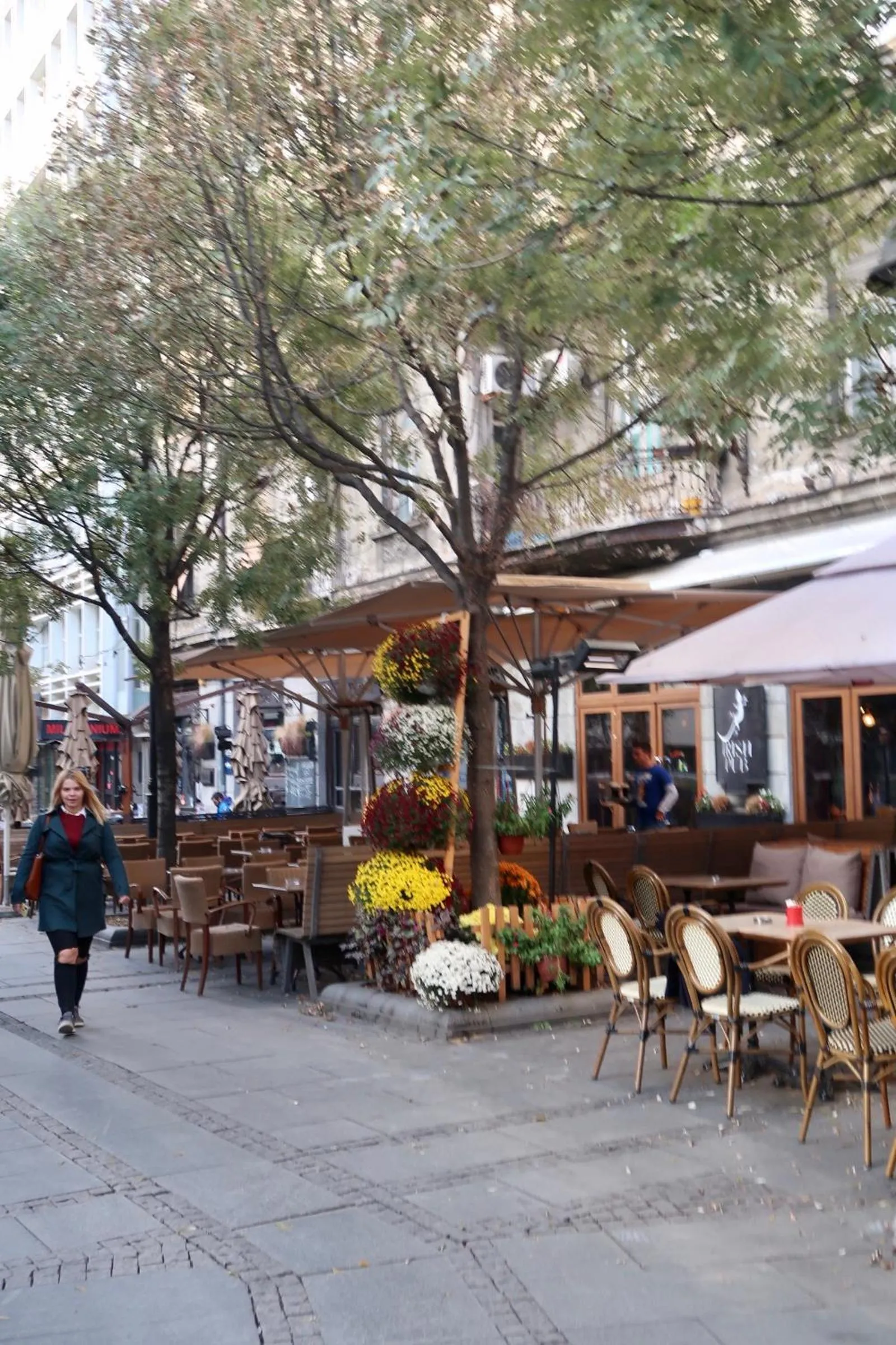 Restaurant/places to eat in Belle Apartments - Obilicev Venac
