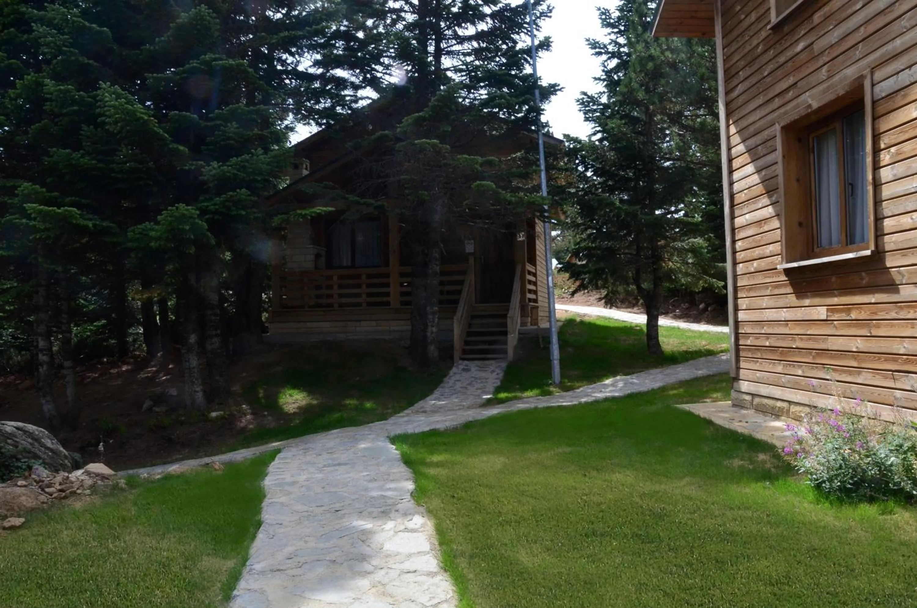 Hiking in Uludag Orman Koskleri