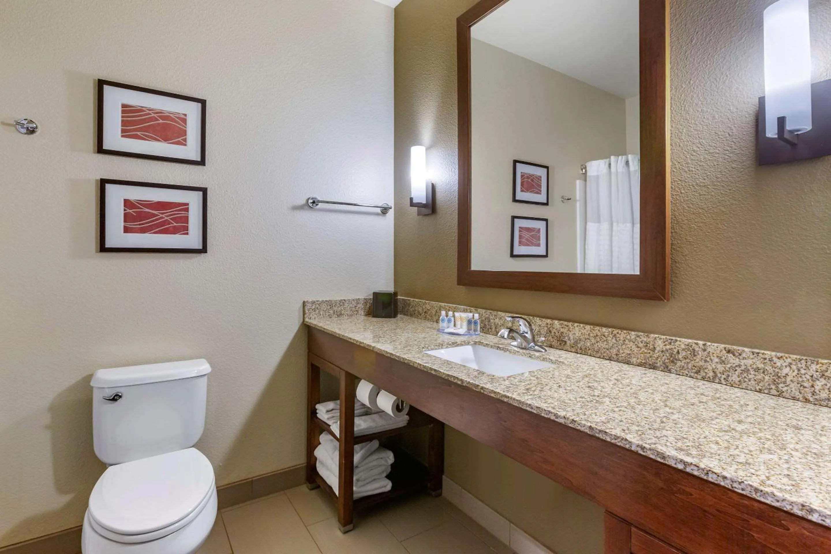 Bathroom in Comfort Inn & Suites Near Mt Rushmore