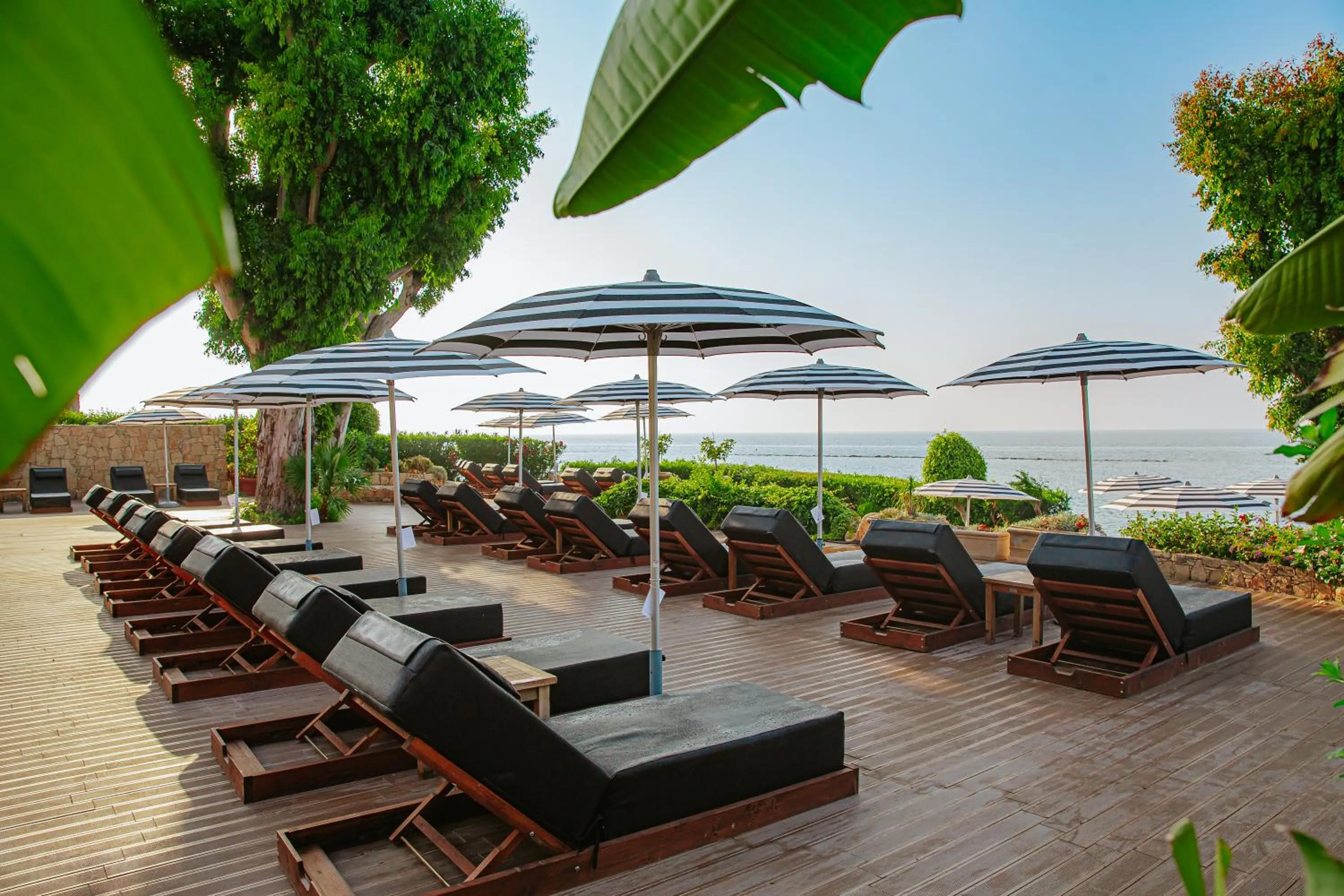 Balcony/Terrace in Royal Apollonia by Louis Hotels