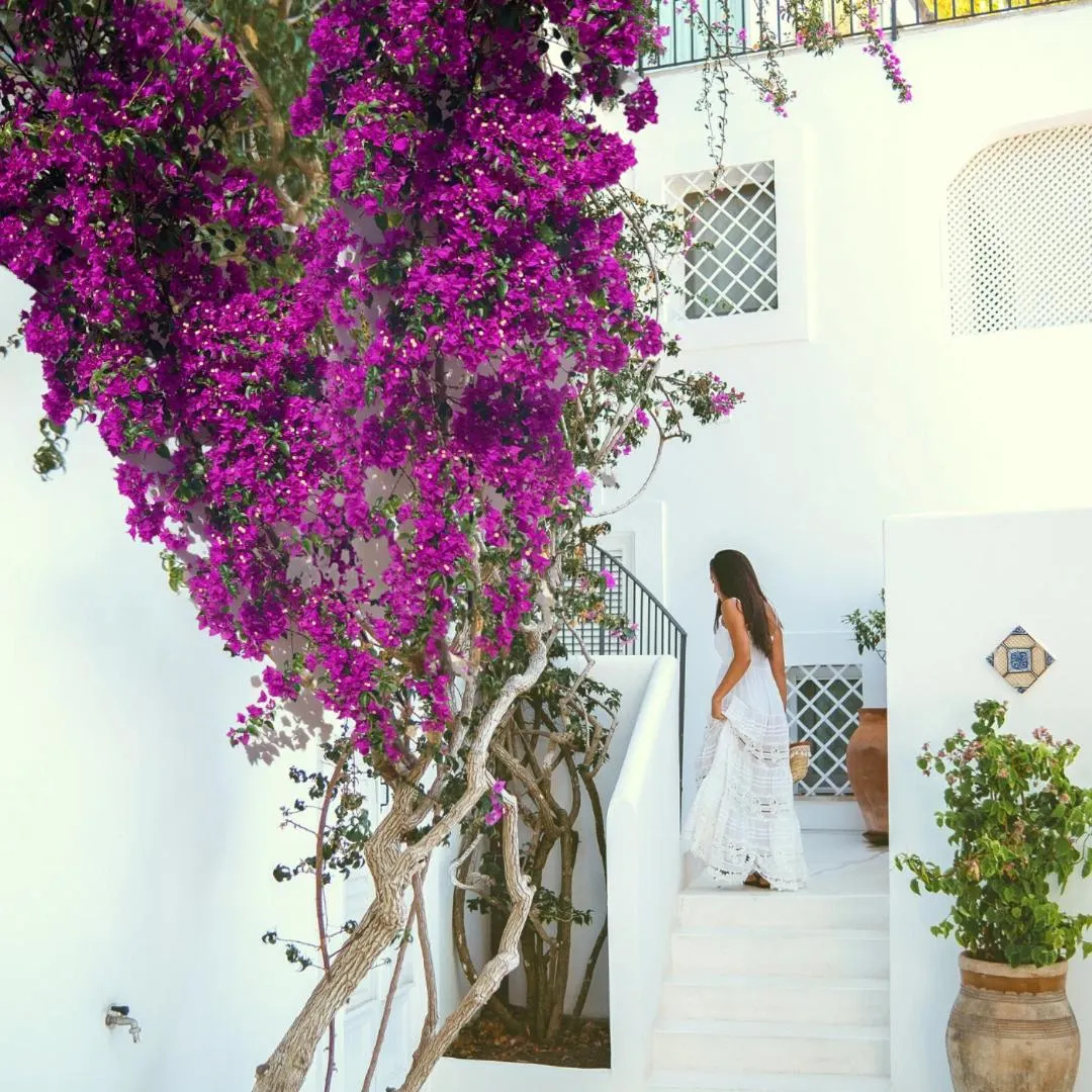 Decorative detail in Le Calette N.5