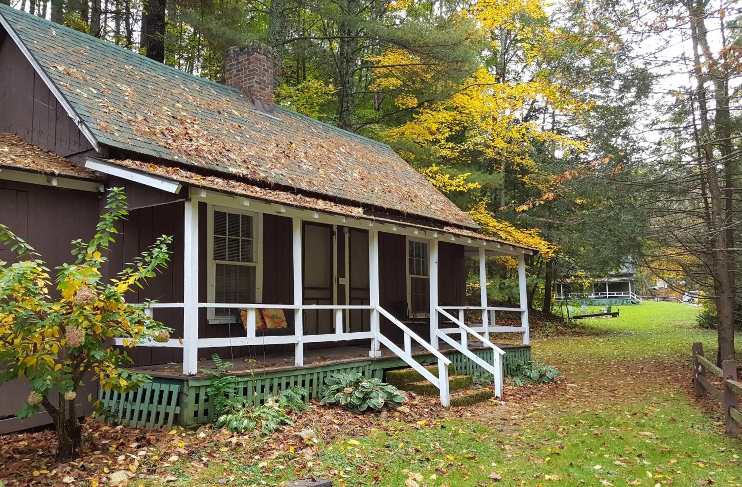 Mountain view in The Cabins at Healing Springs
