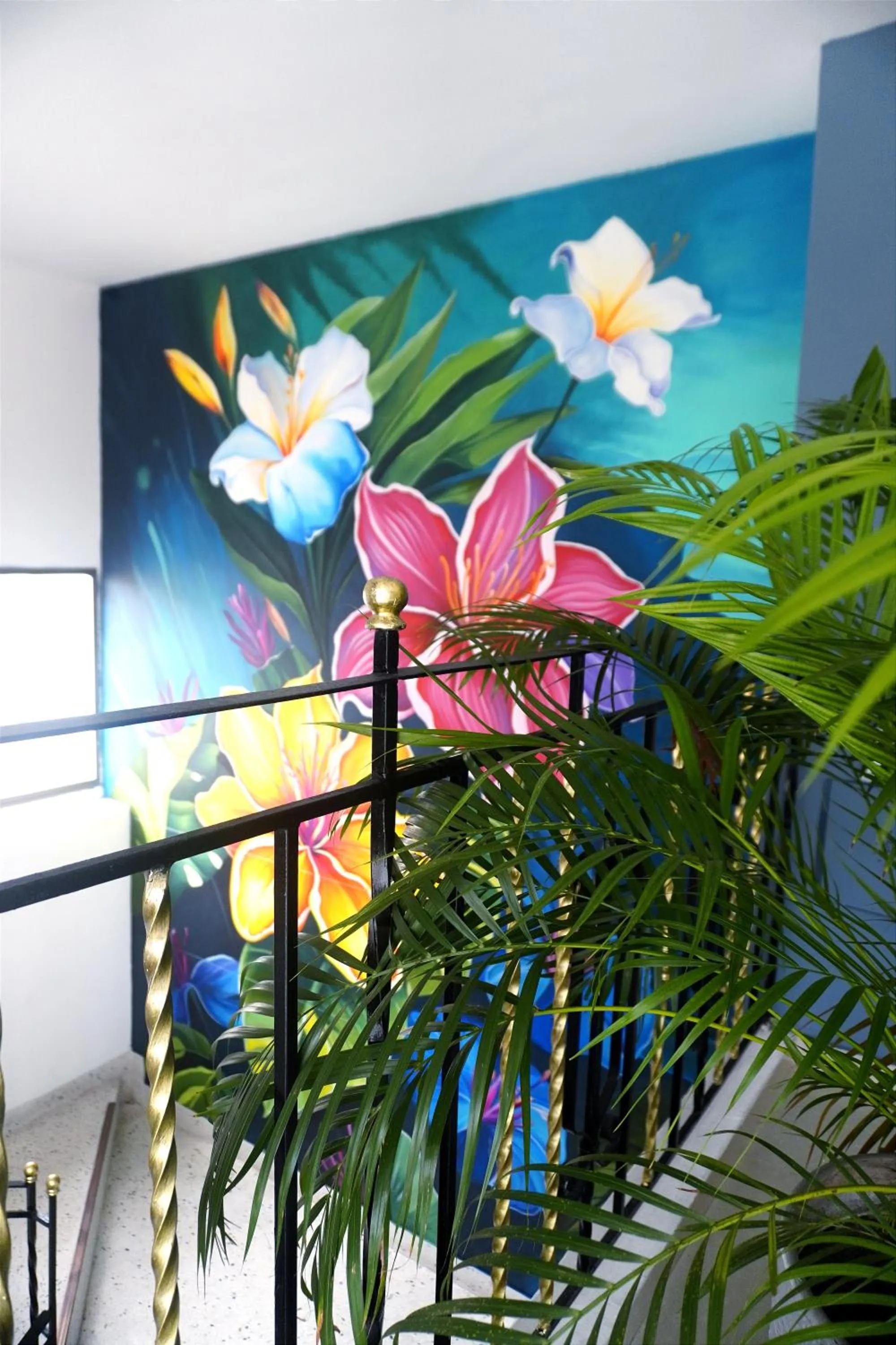 Balcony/Terrace in Hotel Dorado BAQ