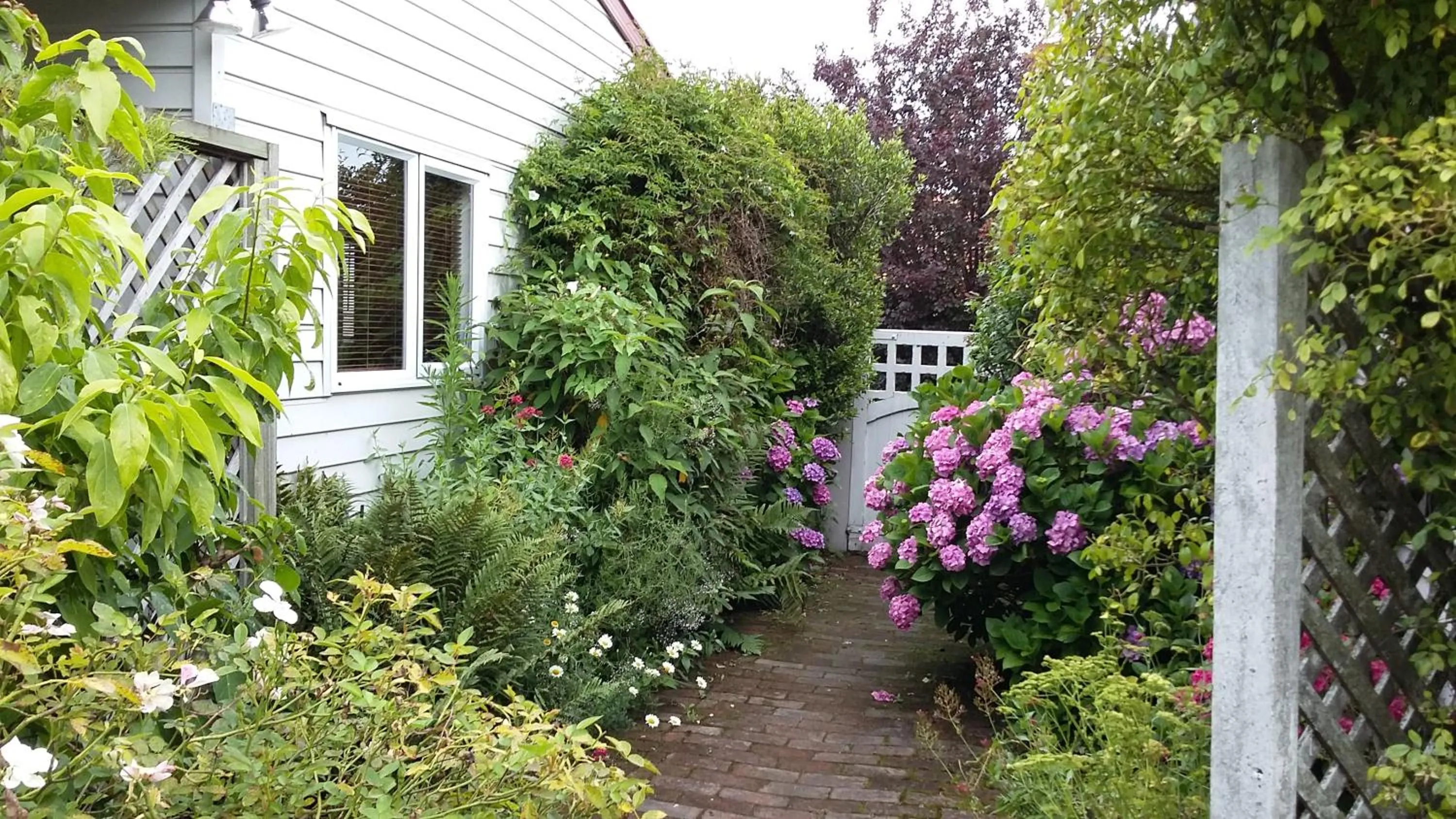 Garden in Jan's Boutique B & B Suite