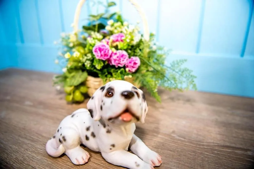 My Resort Family by Jitkarn