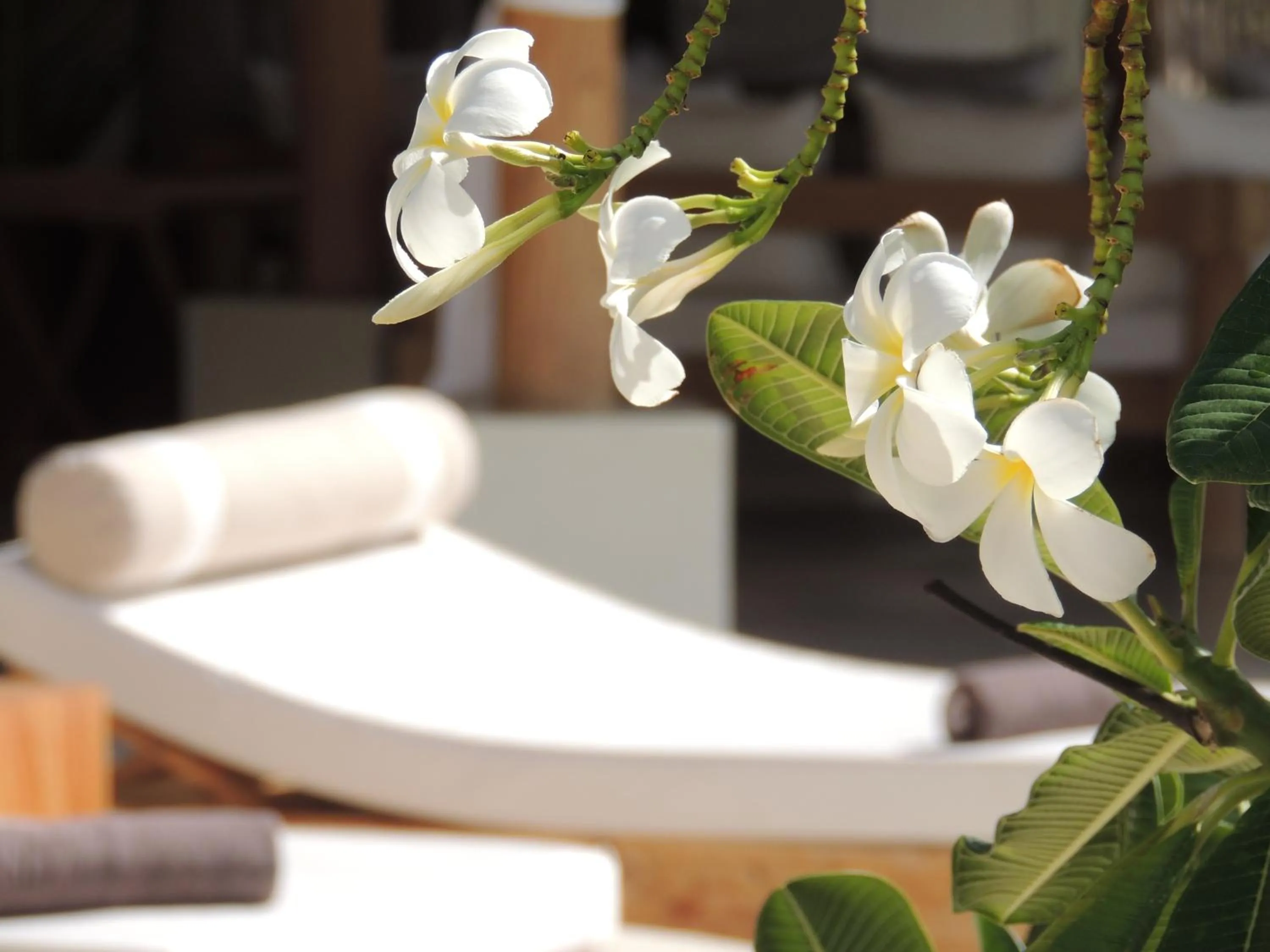 Other in The Kasa Malindi