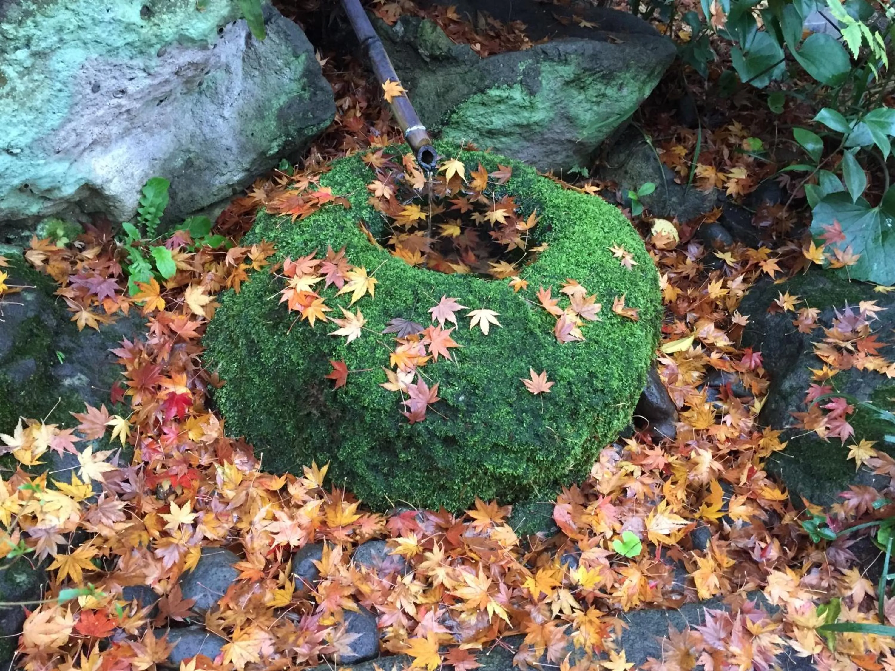 Facade/entrance in Hotel Kazahaya