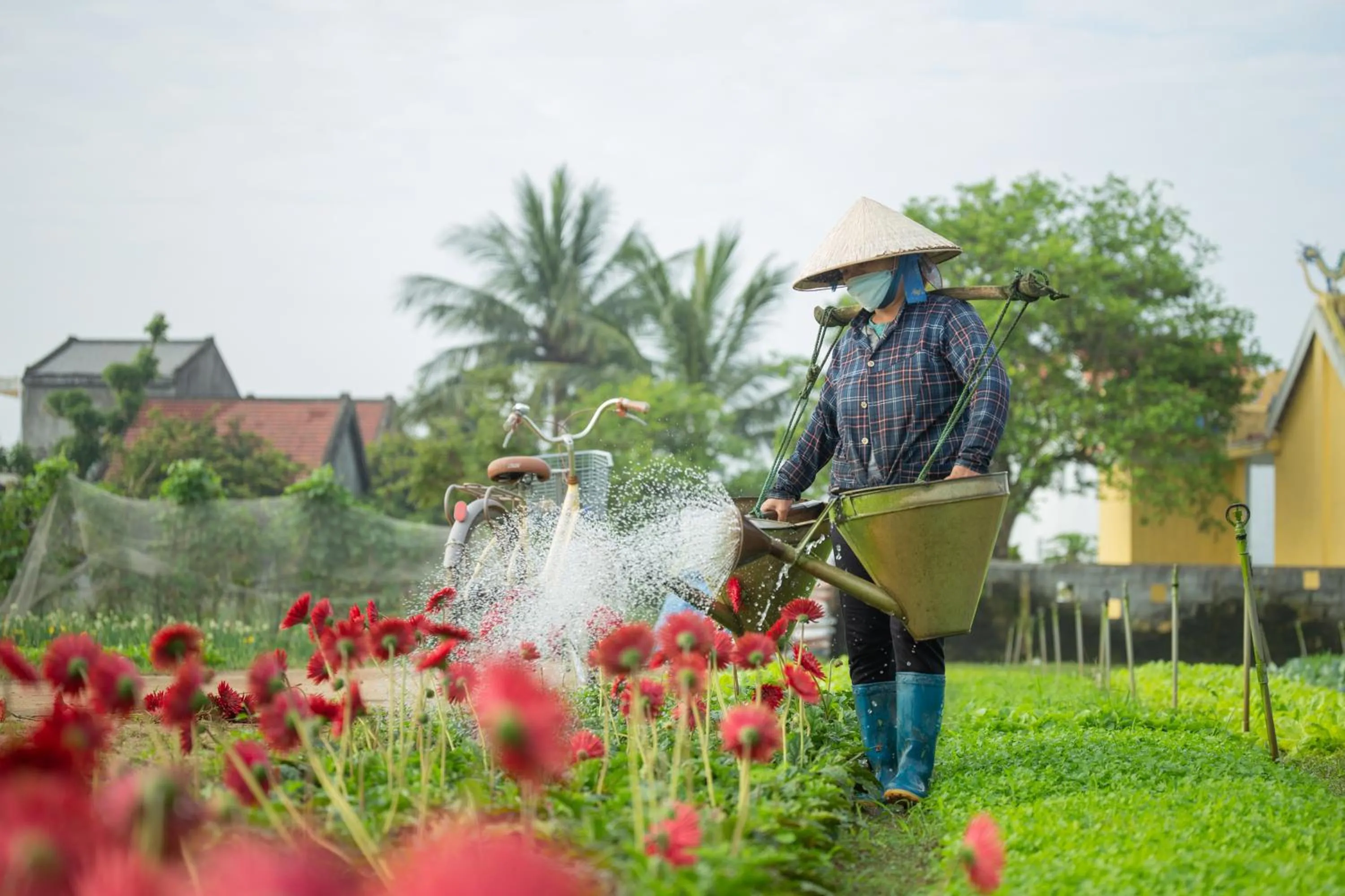 People in Chez Xuân ở Hội An - Rooms & more