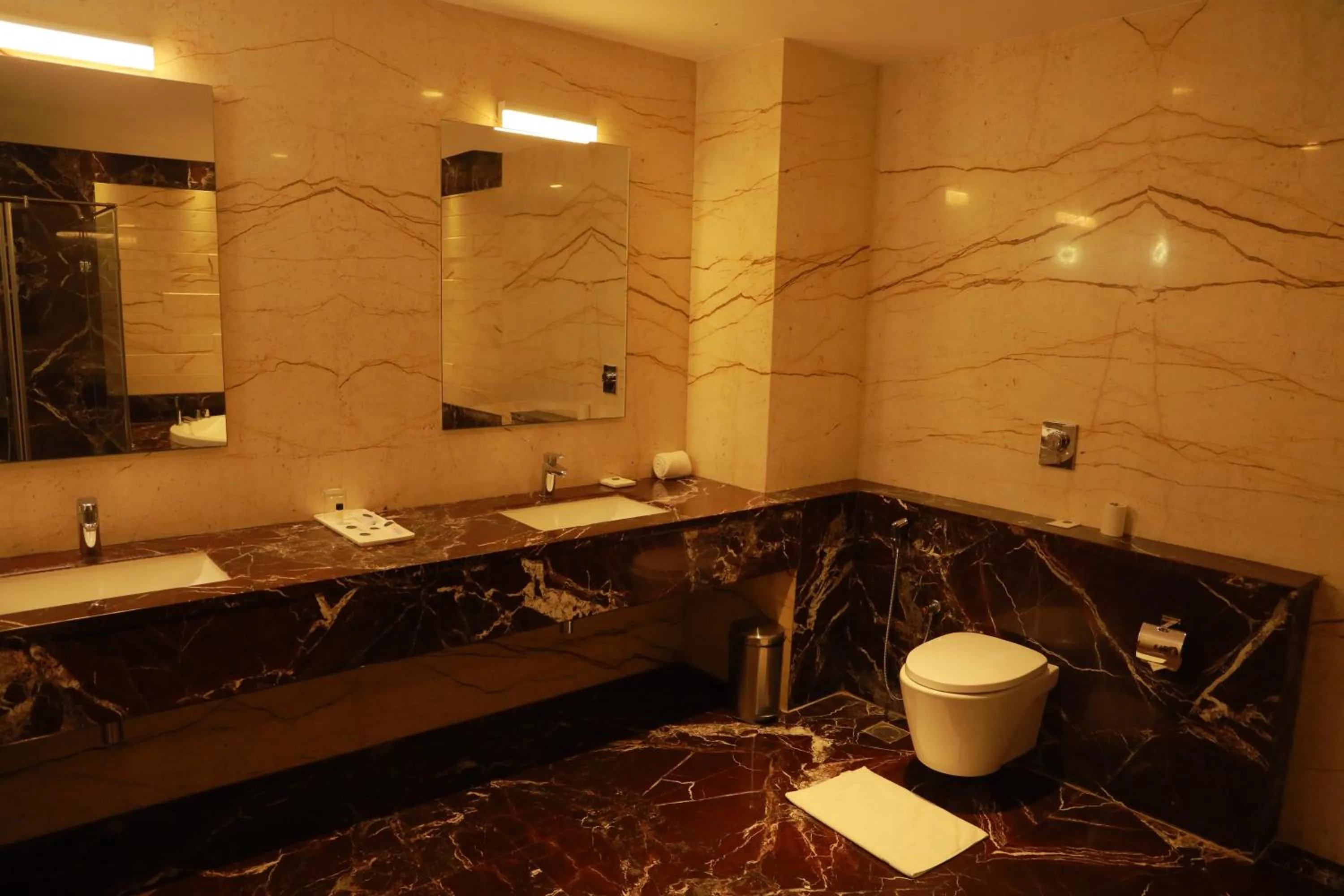 Bathroom in CJ Pallazzio,Salem