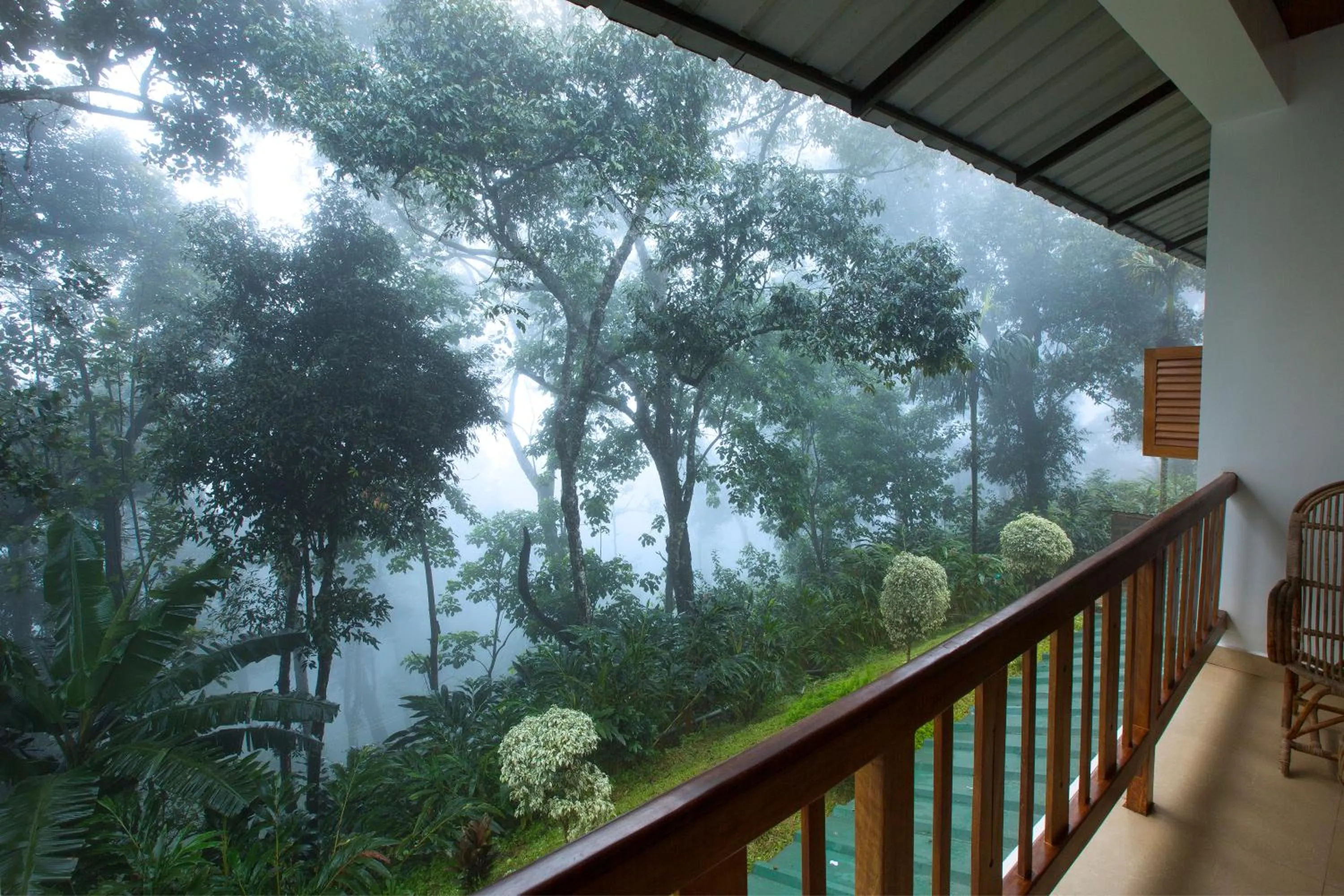 Bracknell Forest Munnar