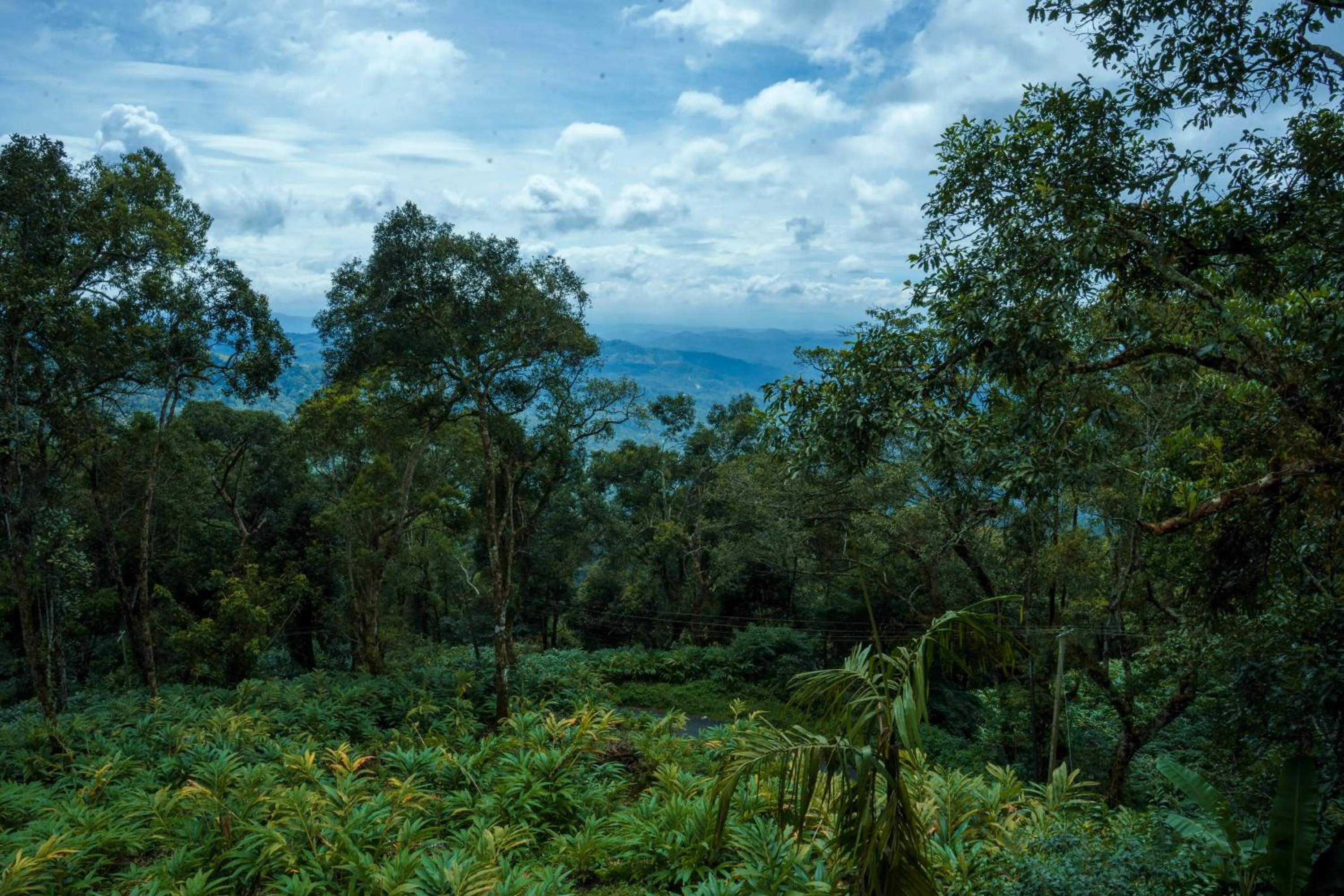 Bracknell Forest Munnar
