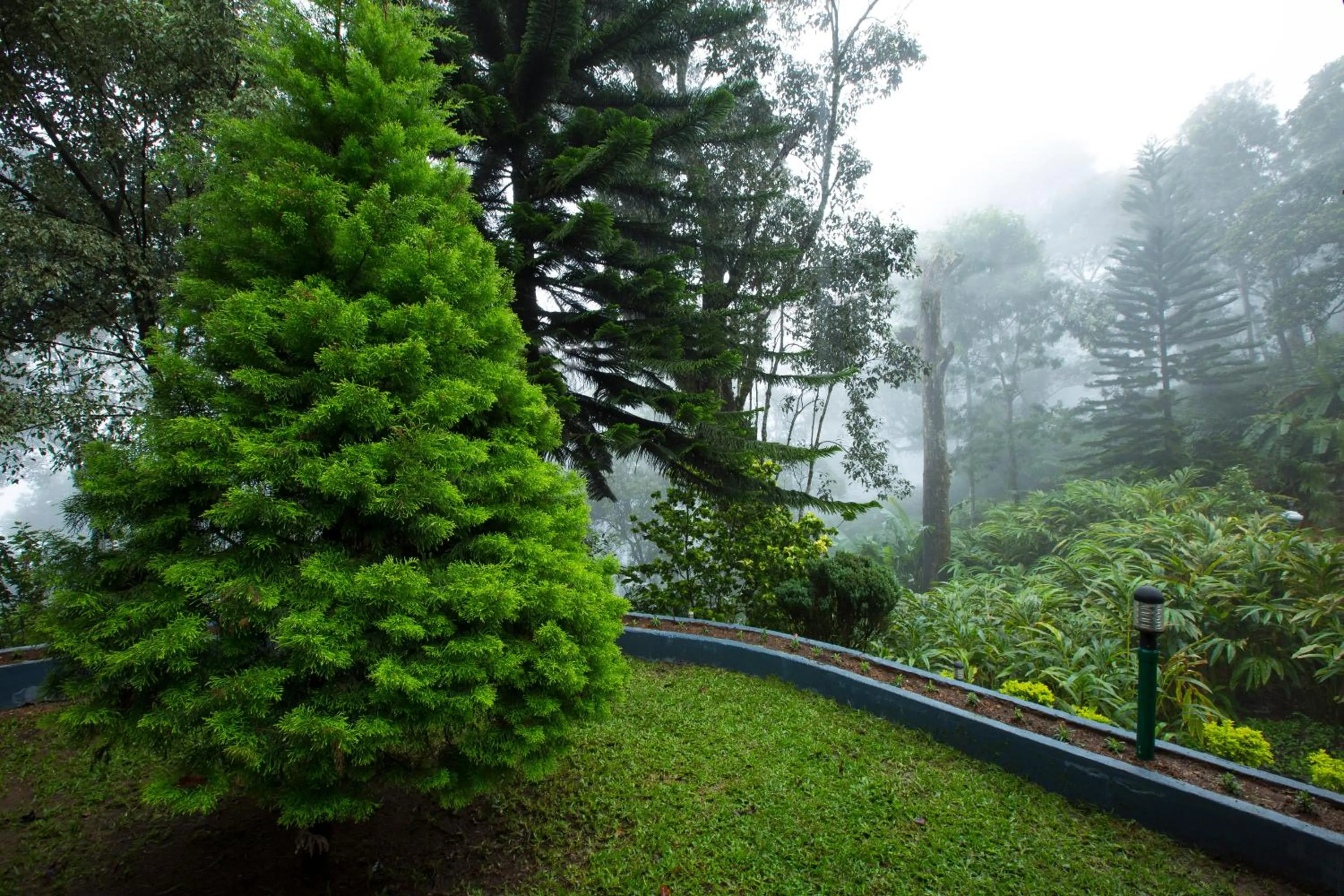 Bracknell Forest Munnar