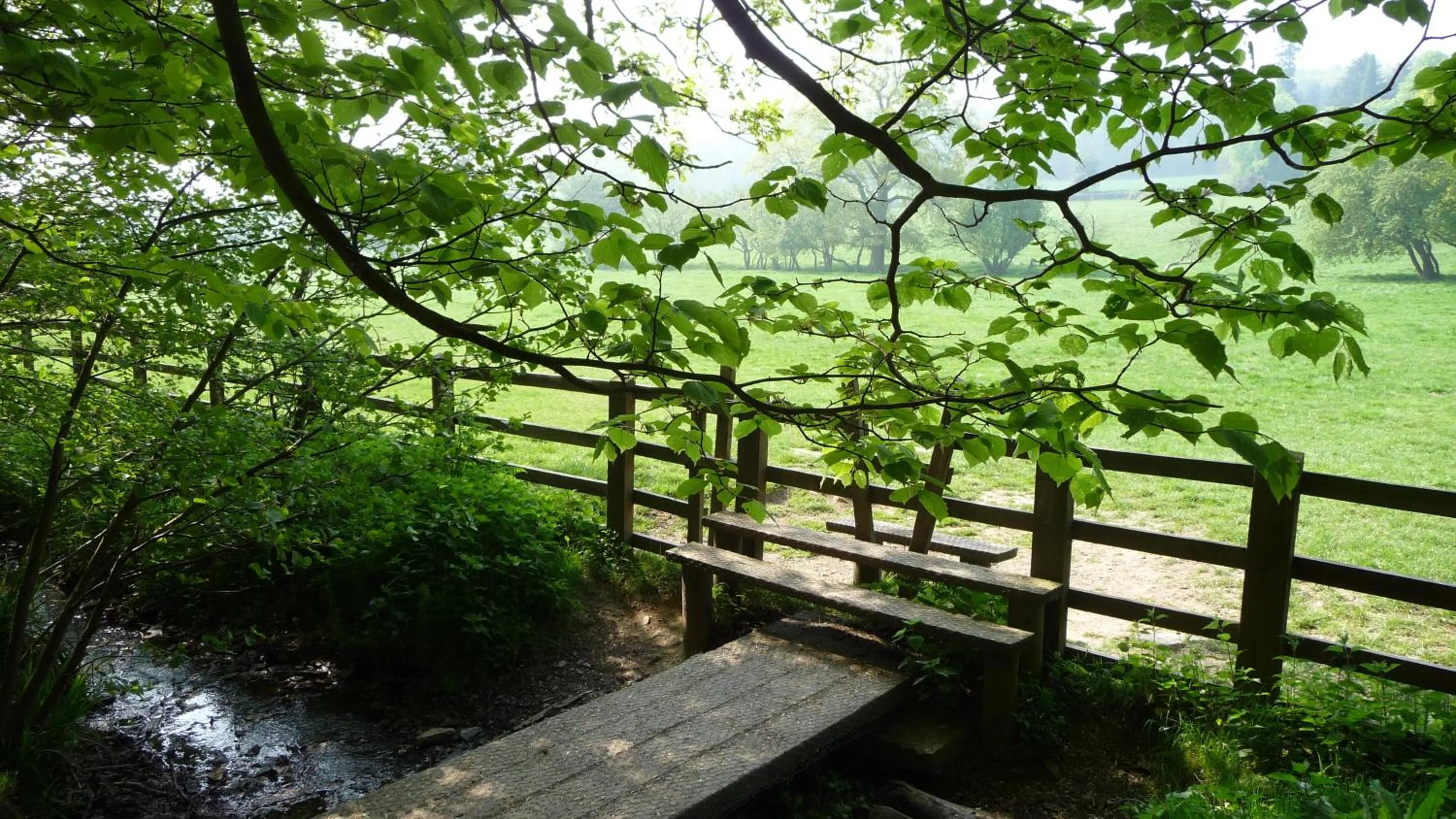 Natural landscape in Keepers Lodge