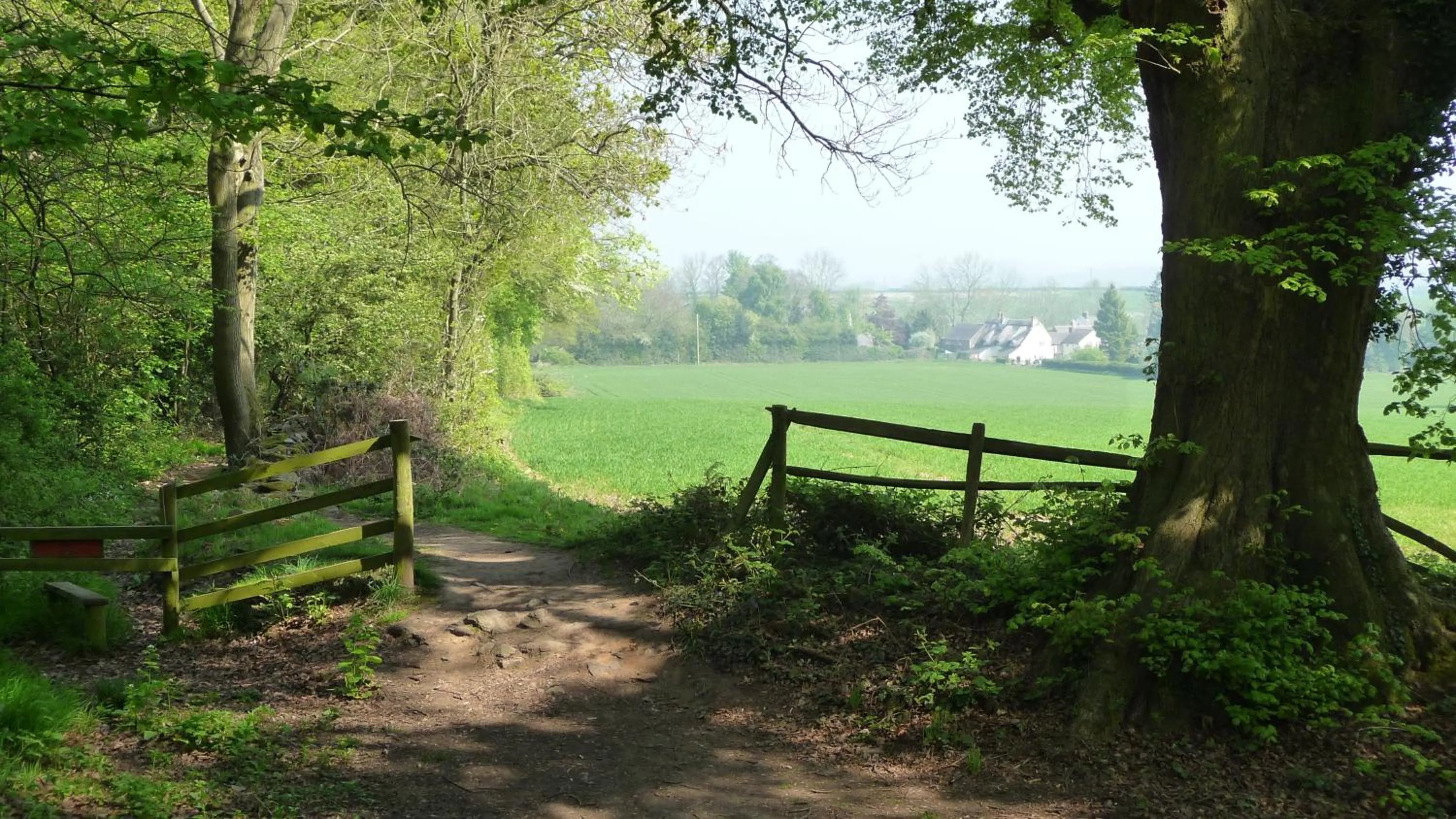 Natural landscape in Keepers Lodge
