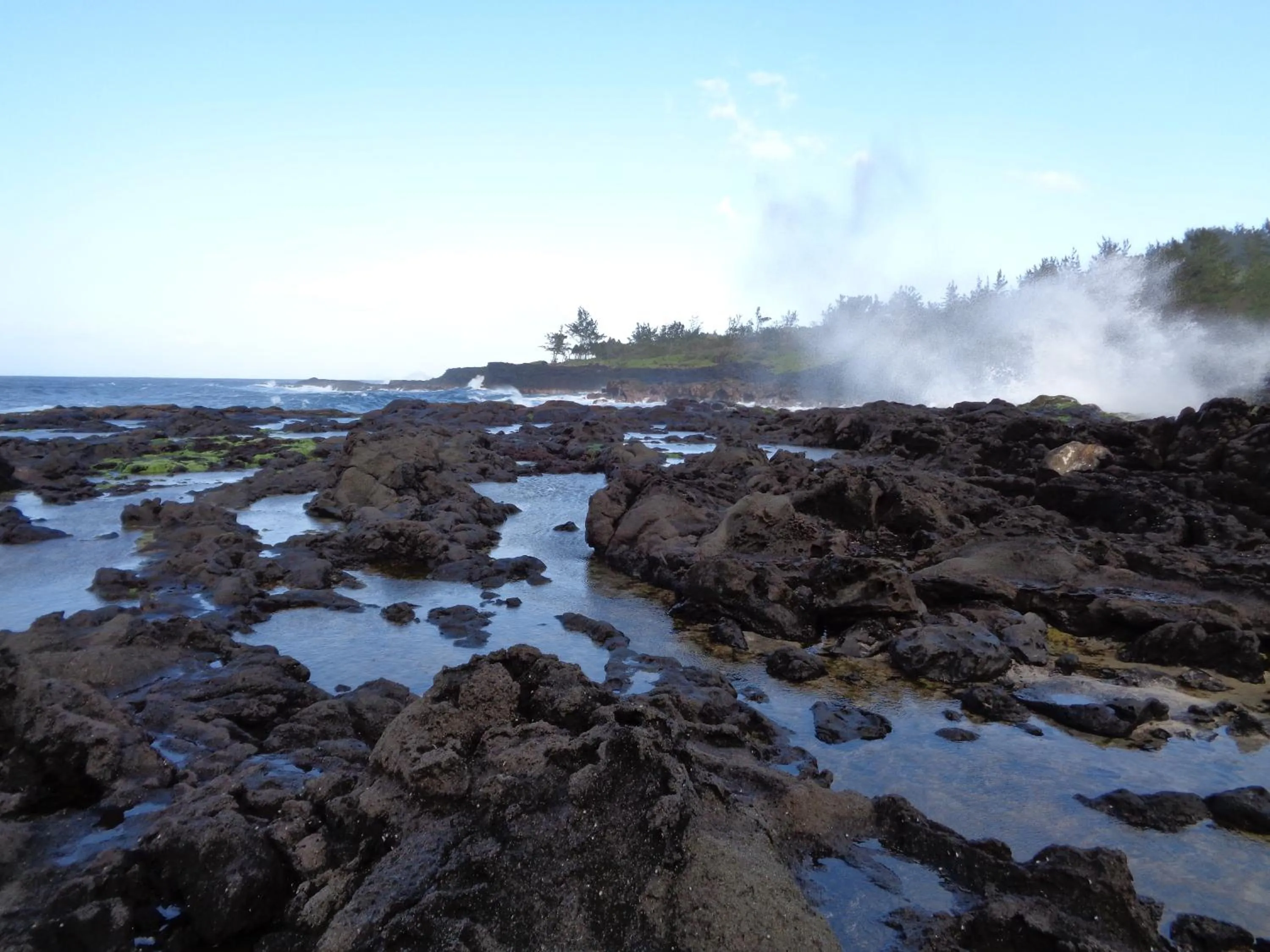 Nearby landmark in L'Arbre de Vie