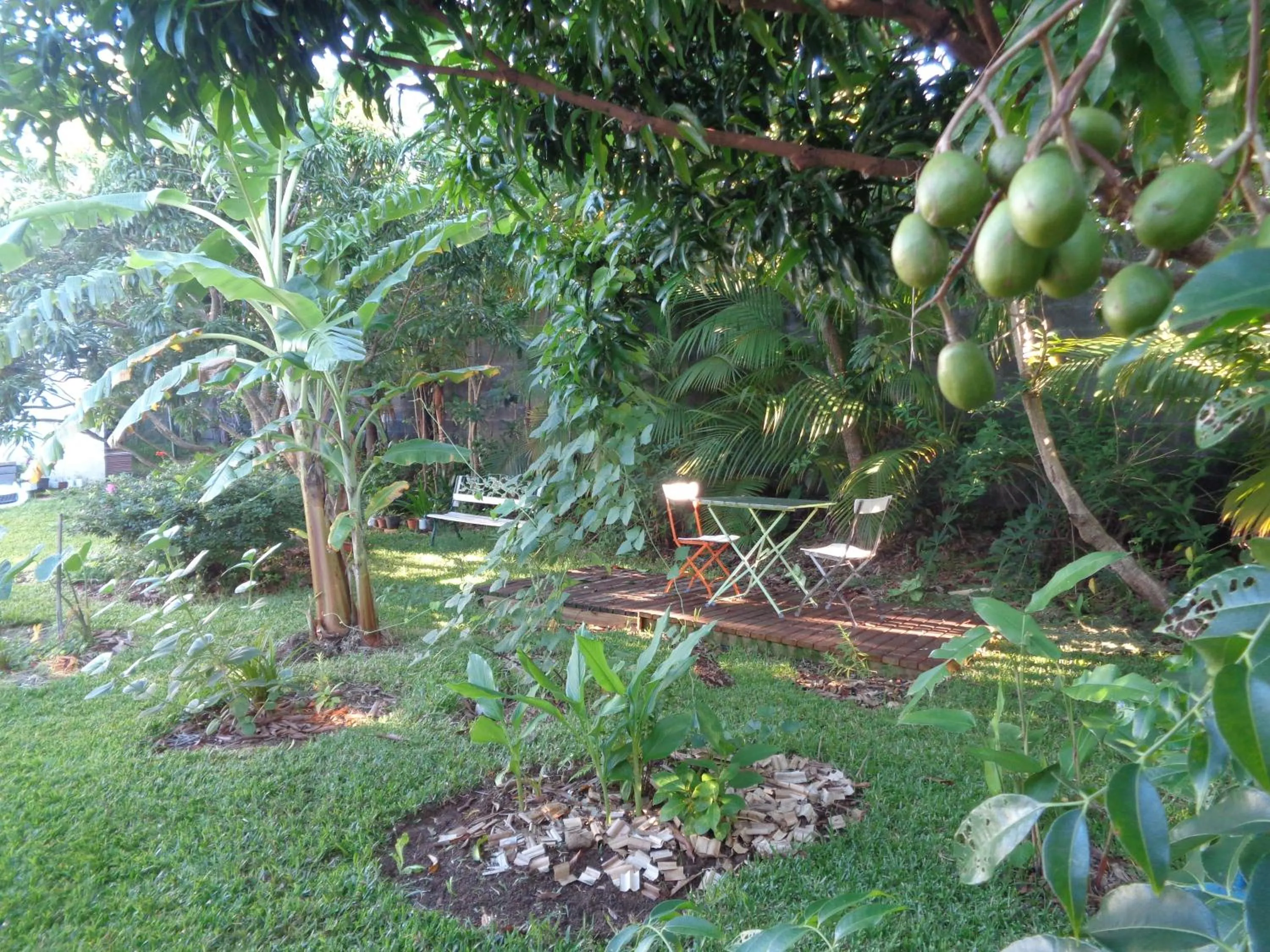 Garden in L'Arbre de Vie