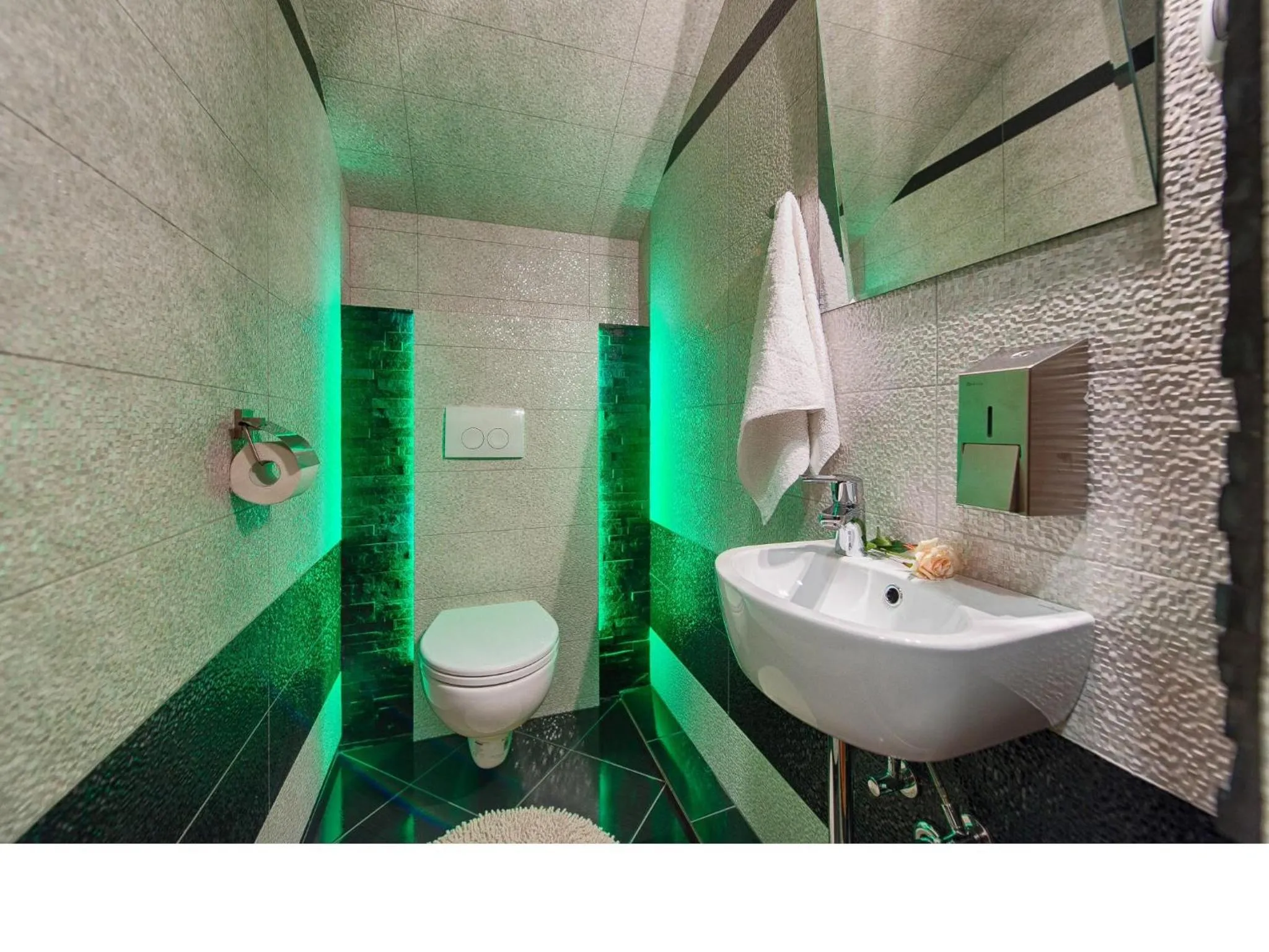 Area and facilities in Willa Trebunia