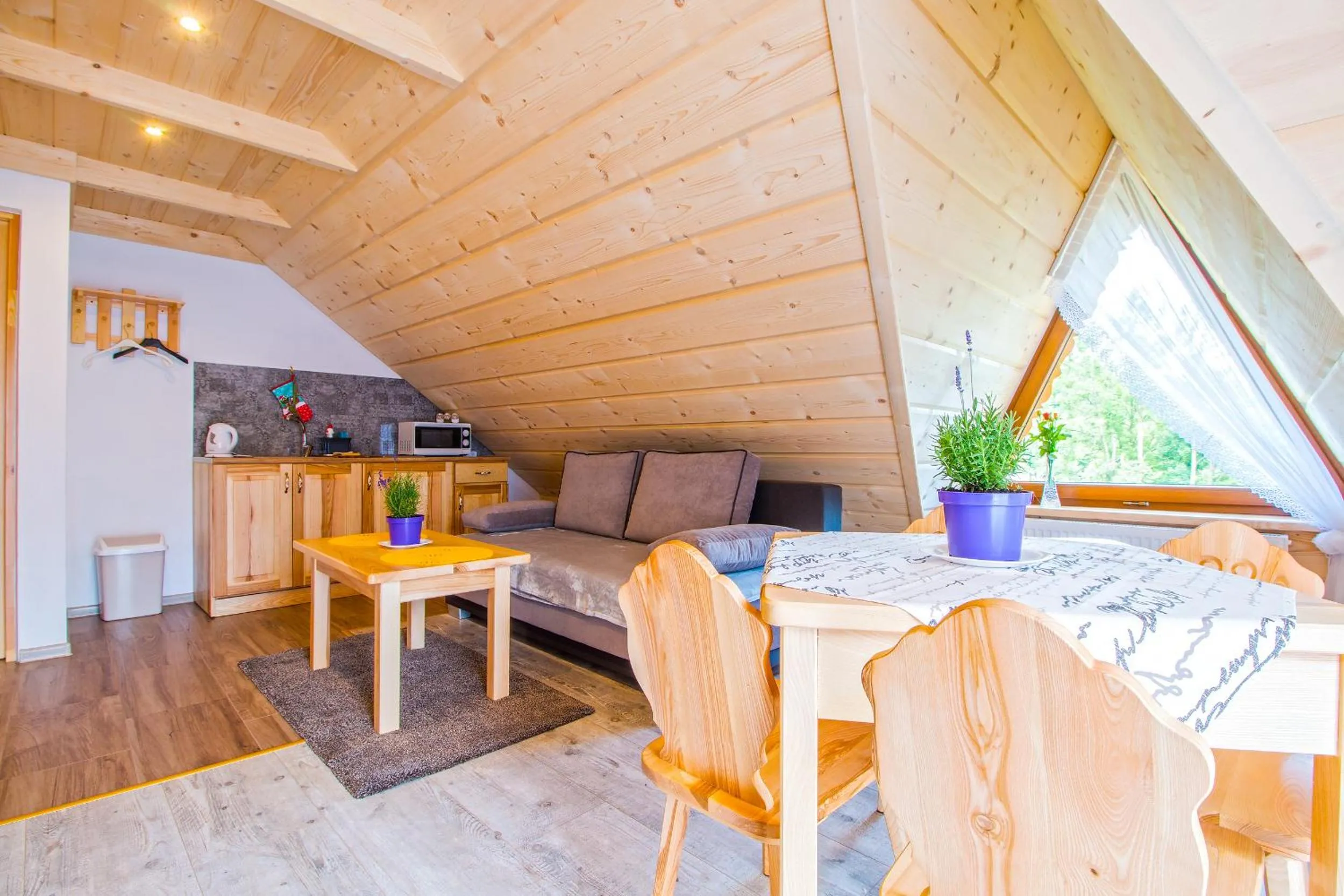 Kitchen or kitchenette in Willa Trebunia