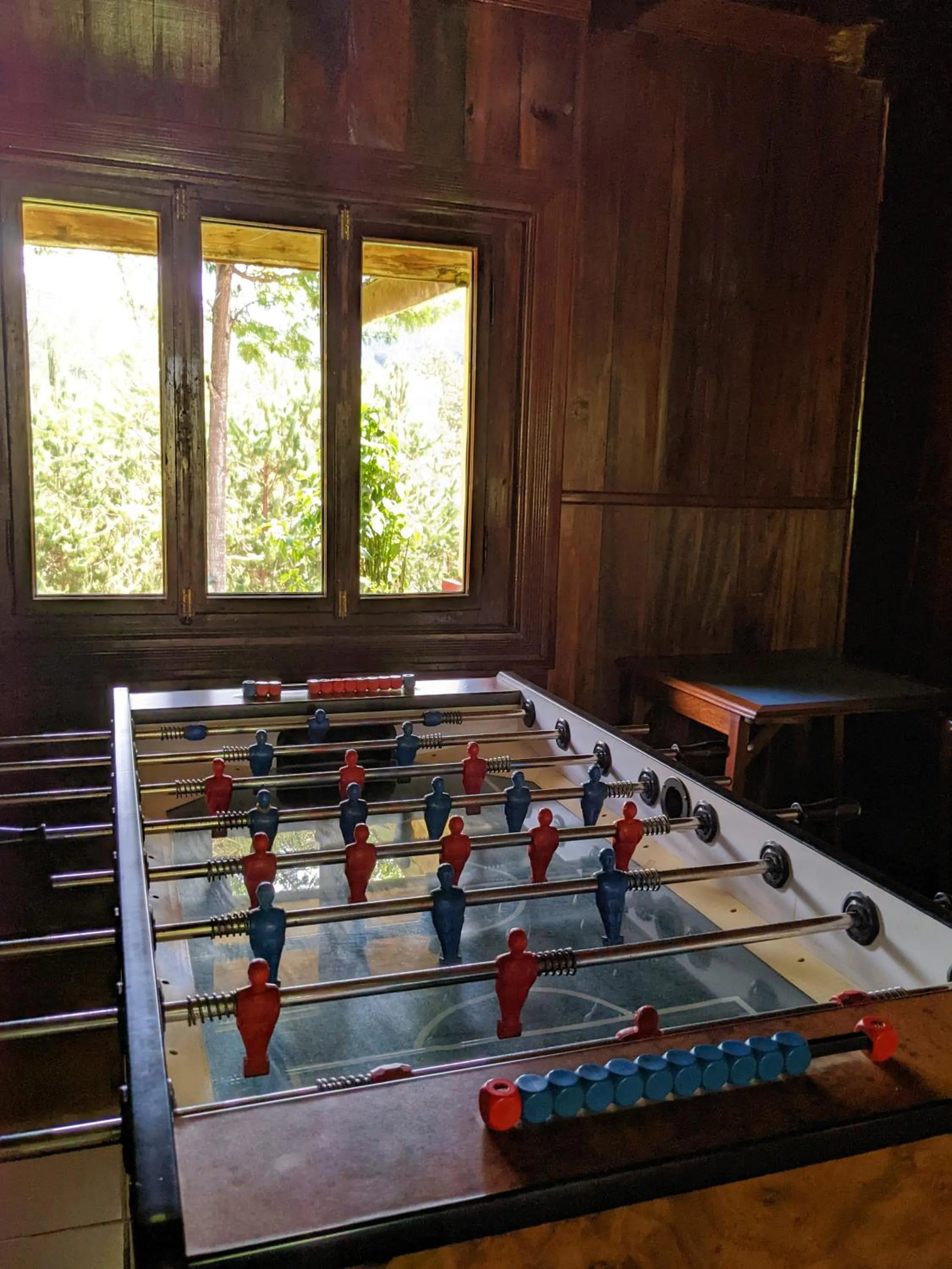 Garden in Lawns Hotel