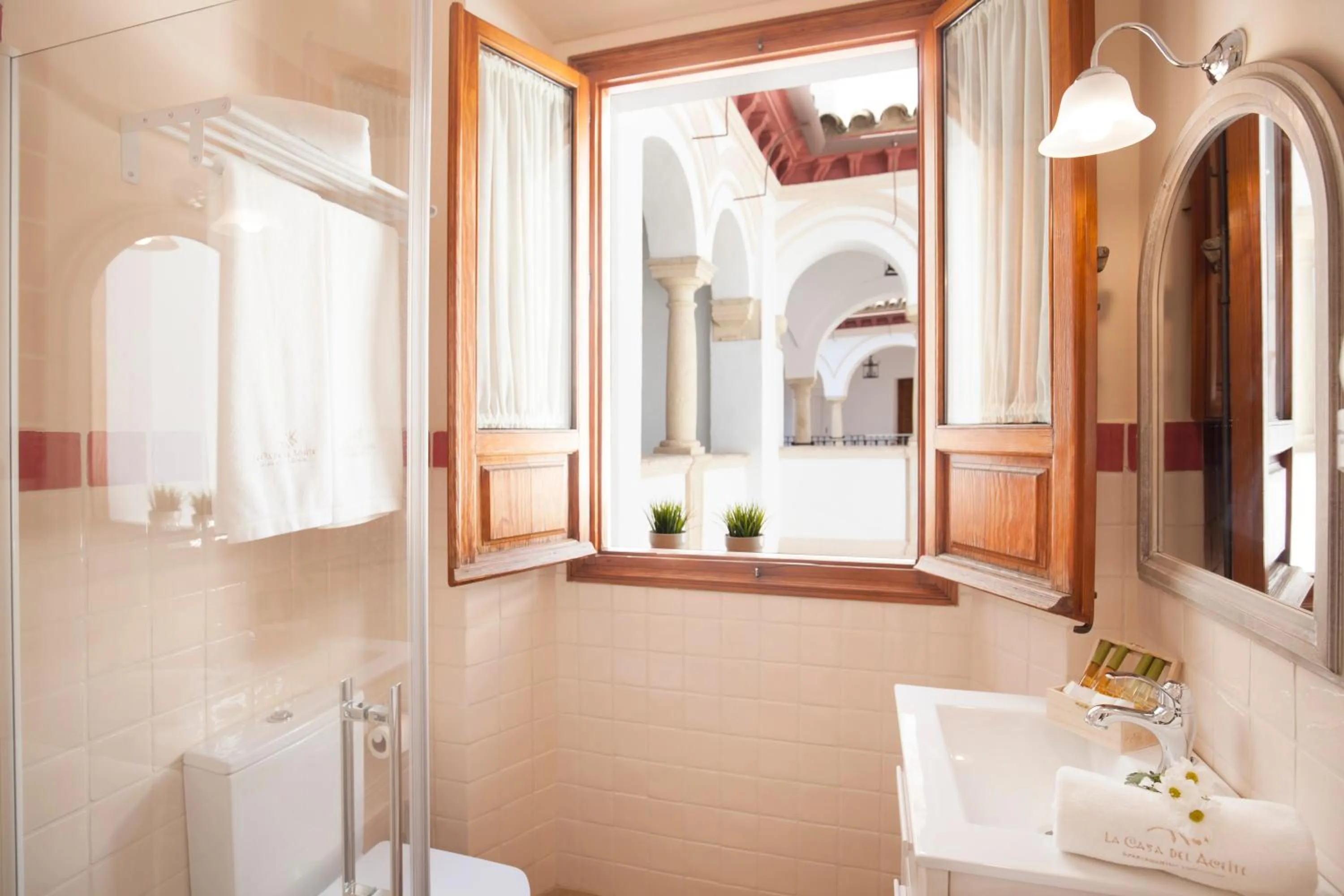 Shower in Apartamentos Casa del Aceite