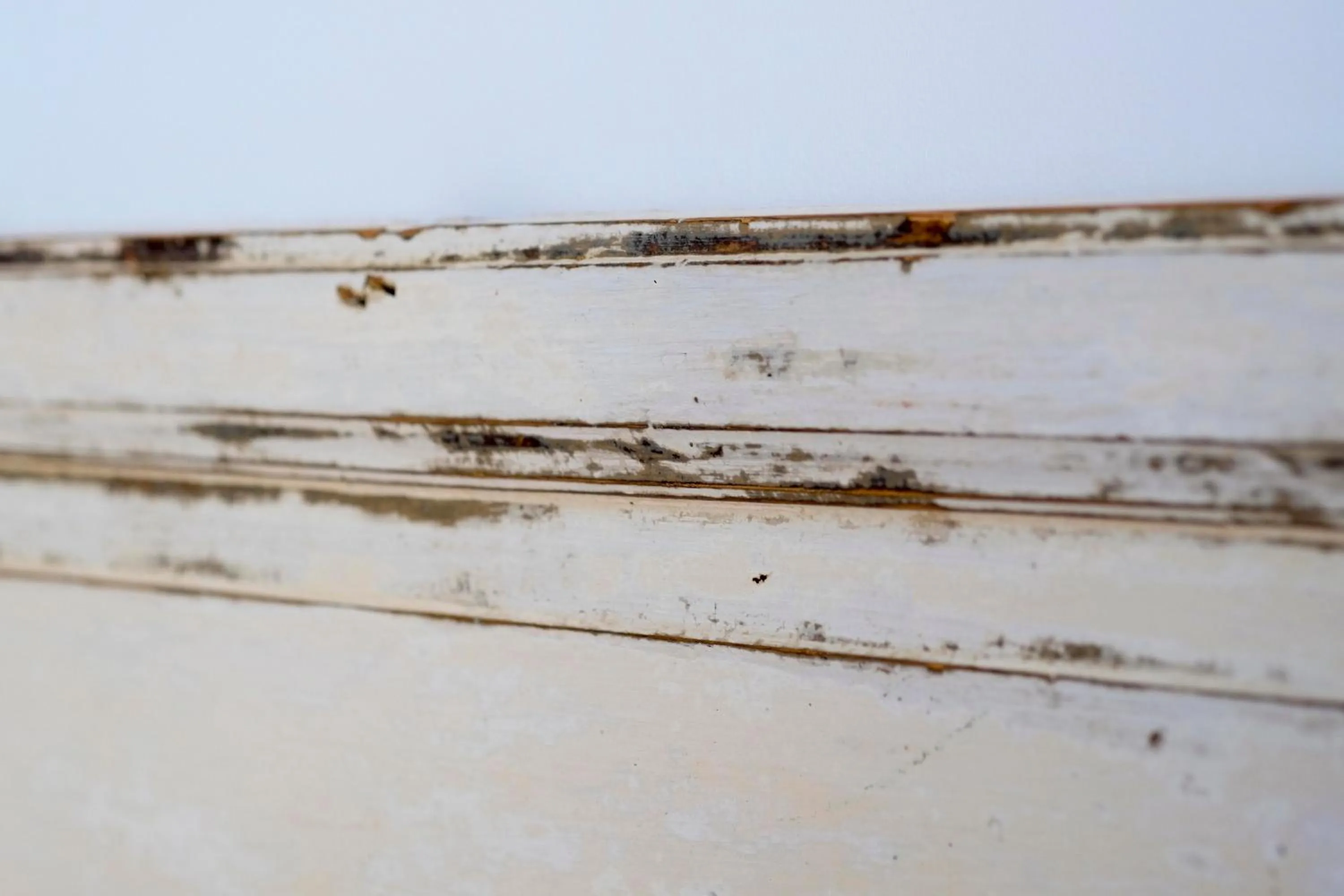 Decorative detail in Pigal