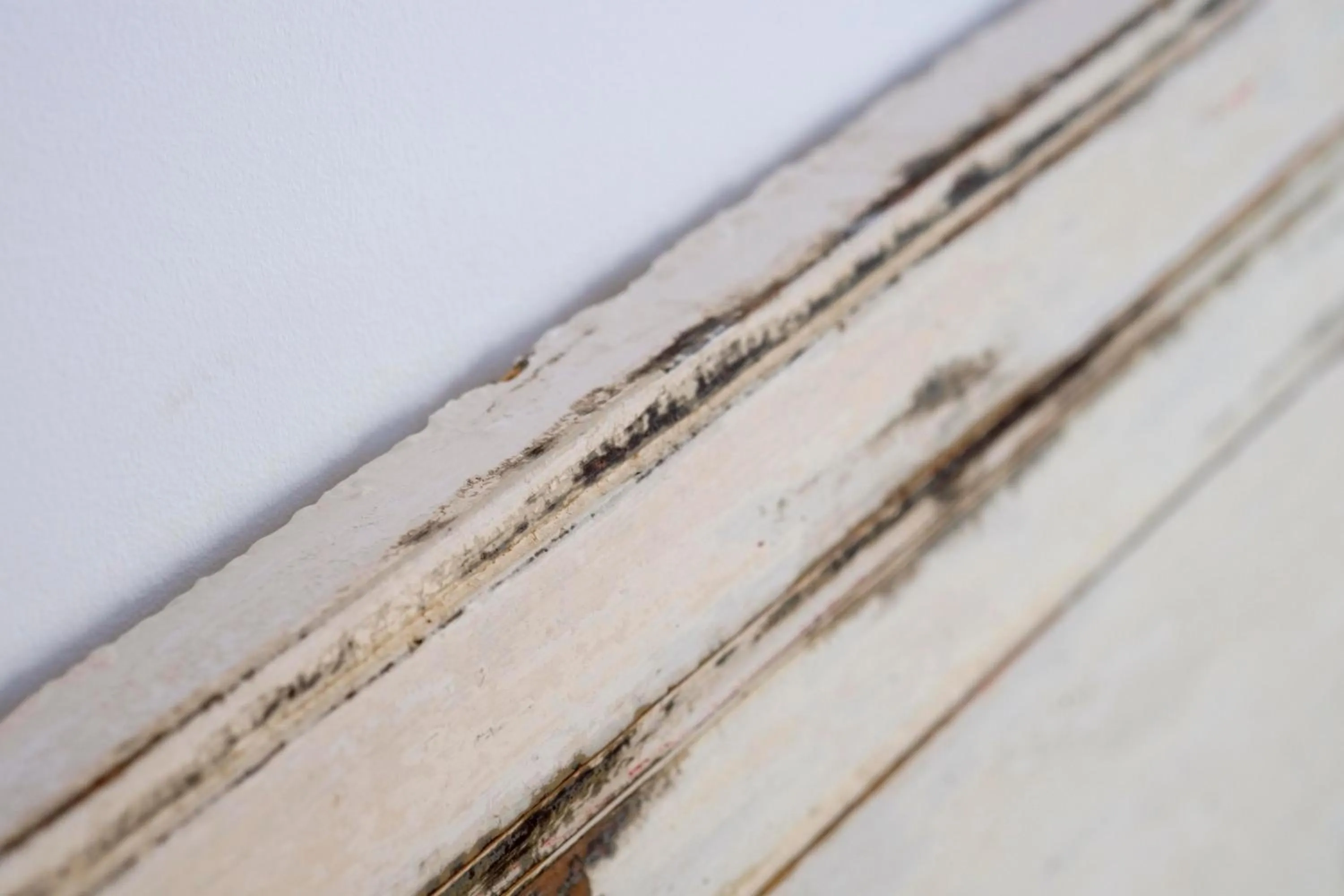 Decorative detail in Pigal