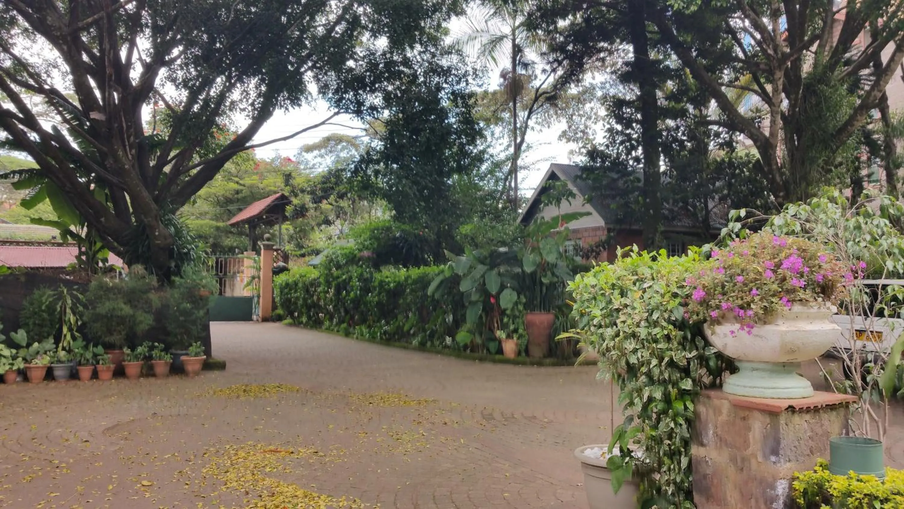 Other in Woodmere Grand Hotel & Serviced Apartments