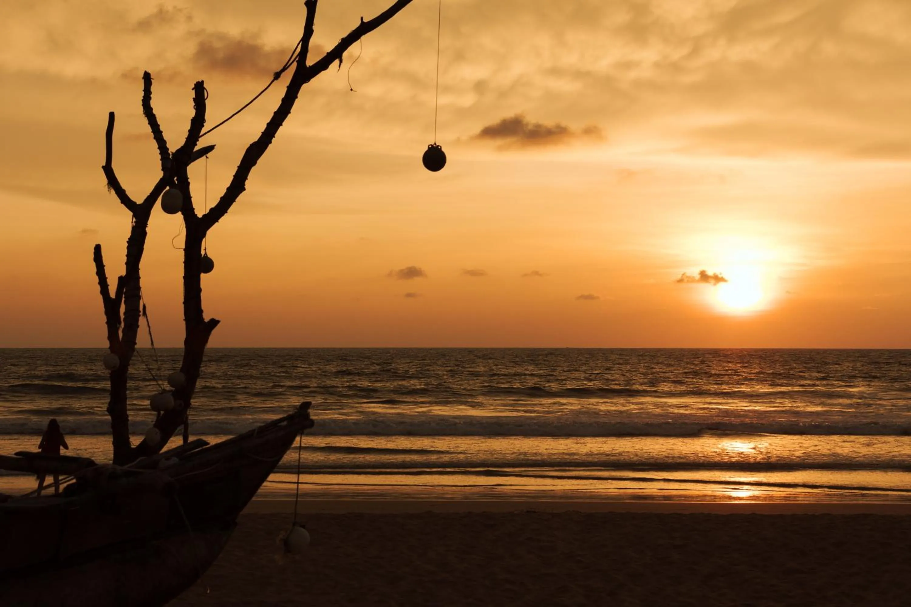 Natural landscape in Amal Beach Hotel